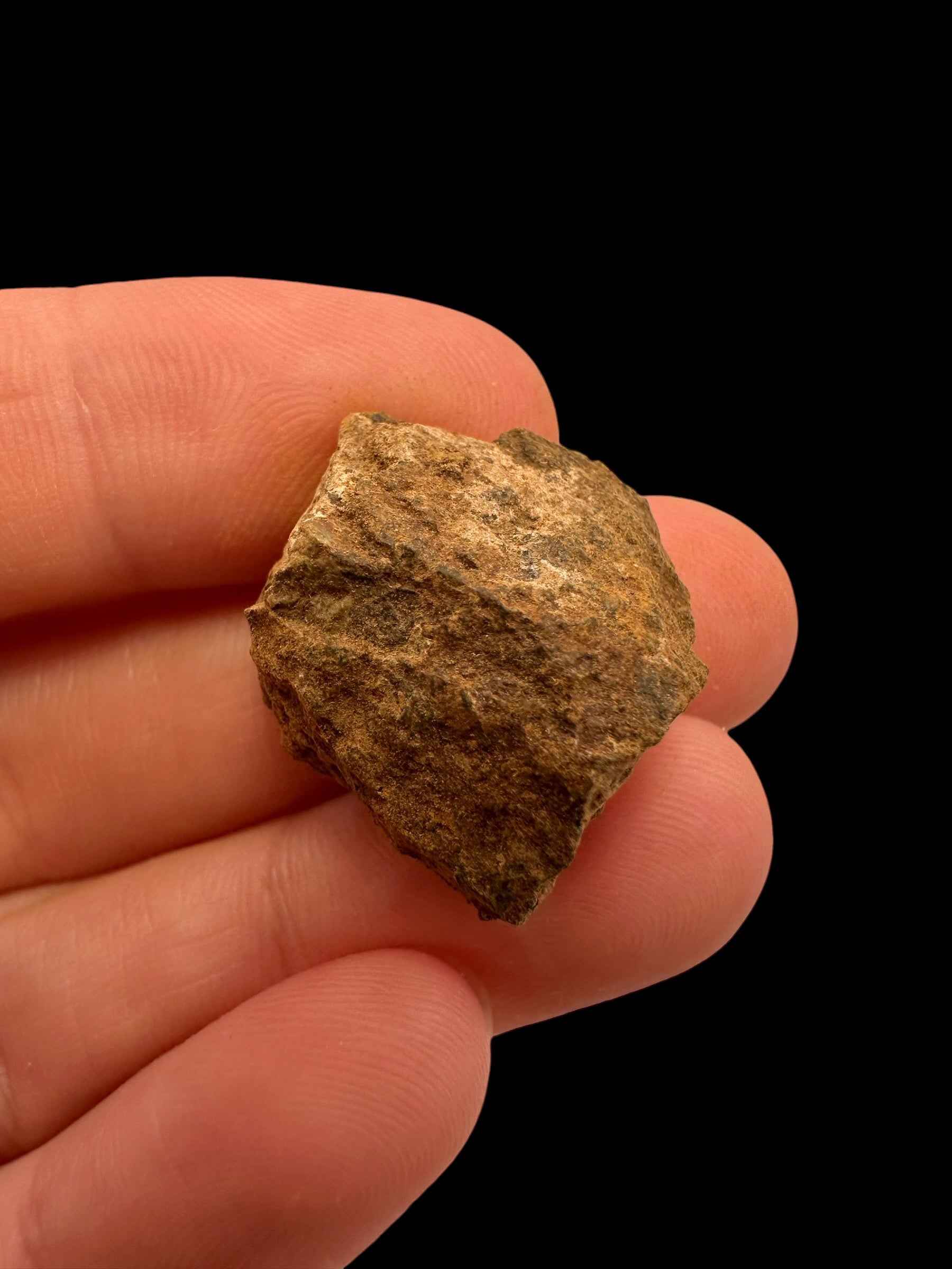 Meteorite Tsarev 8,1g – Volgograd, Russia - METS46