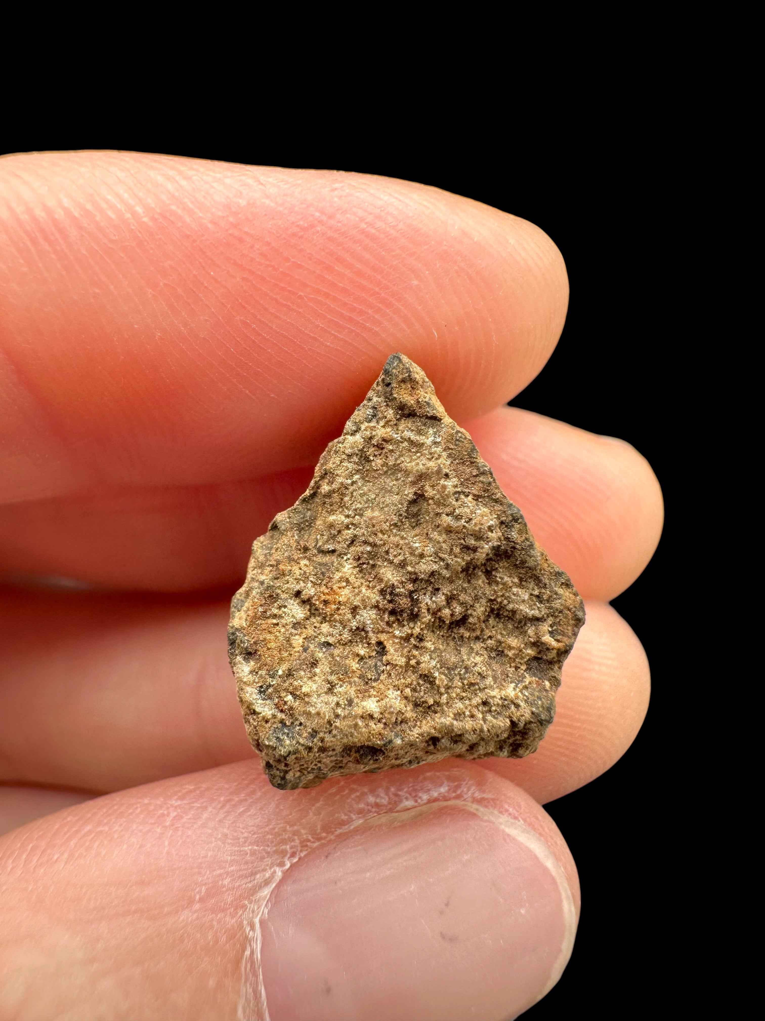 Meteorite Tsarev 3,6g – Volgograd, Russia - METS47