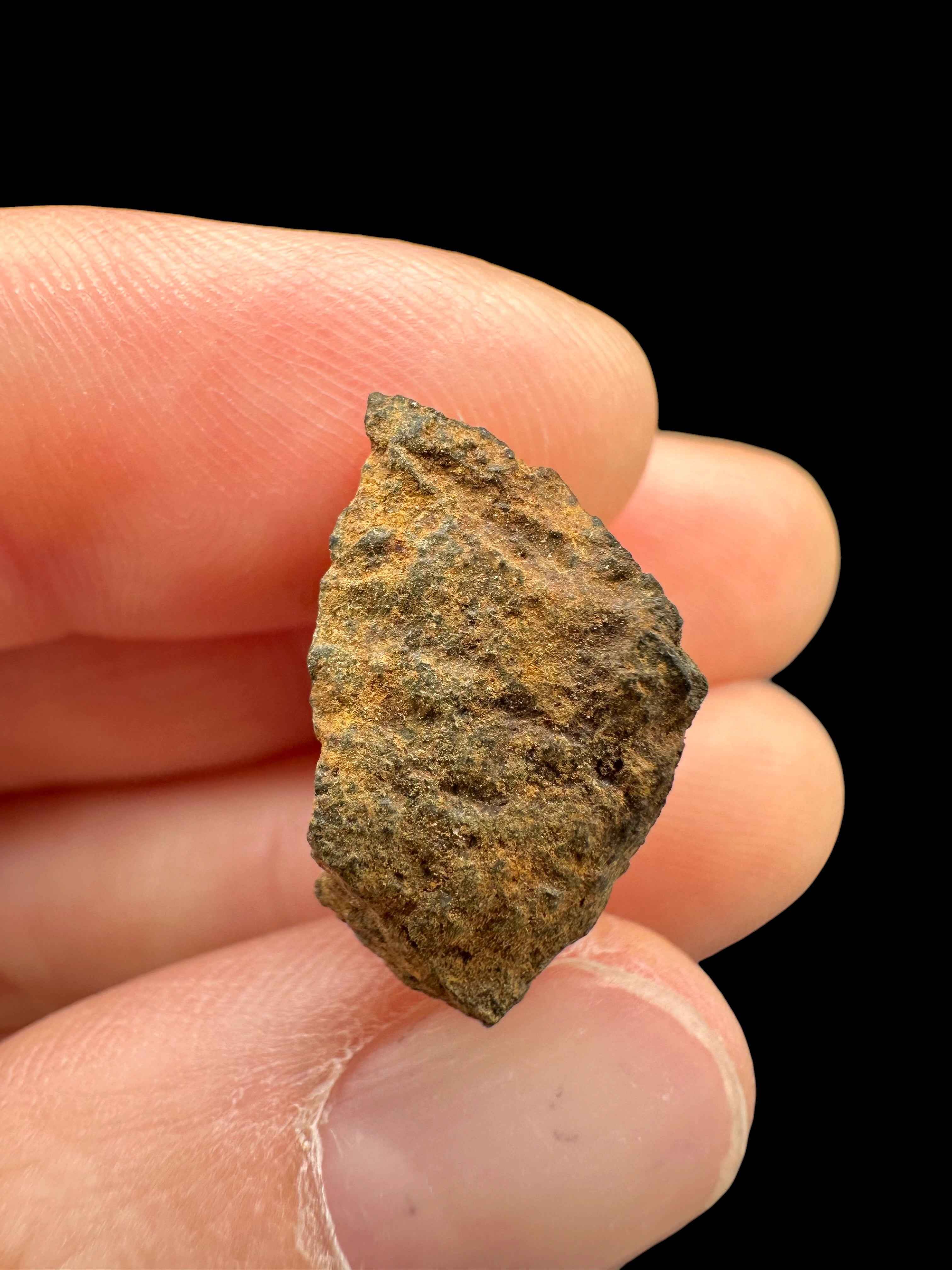 Meteorite Tsarev 3,6g – Volgograd, Russia - METS47