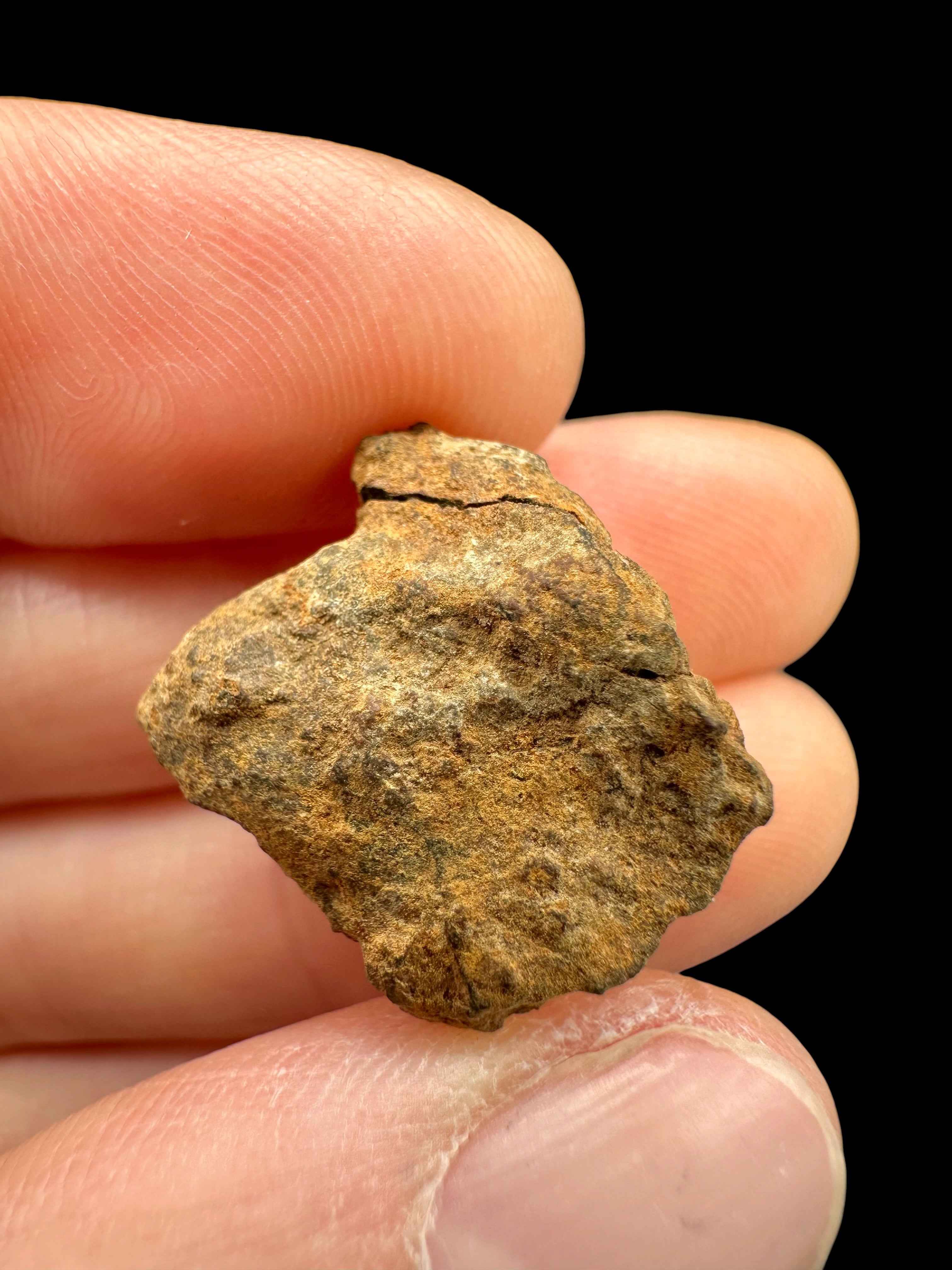 Meteorite Tsarev 4,7g – Volgograd, Russia - METS49