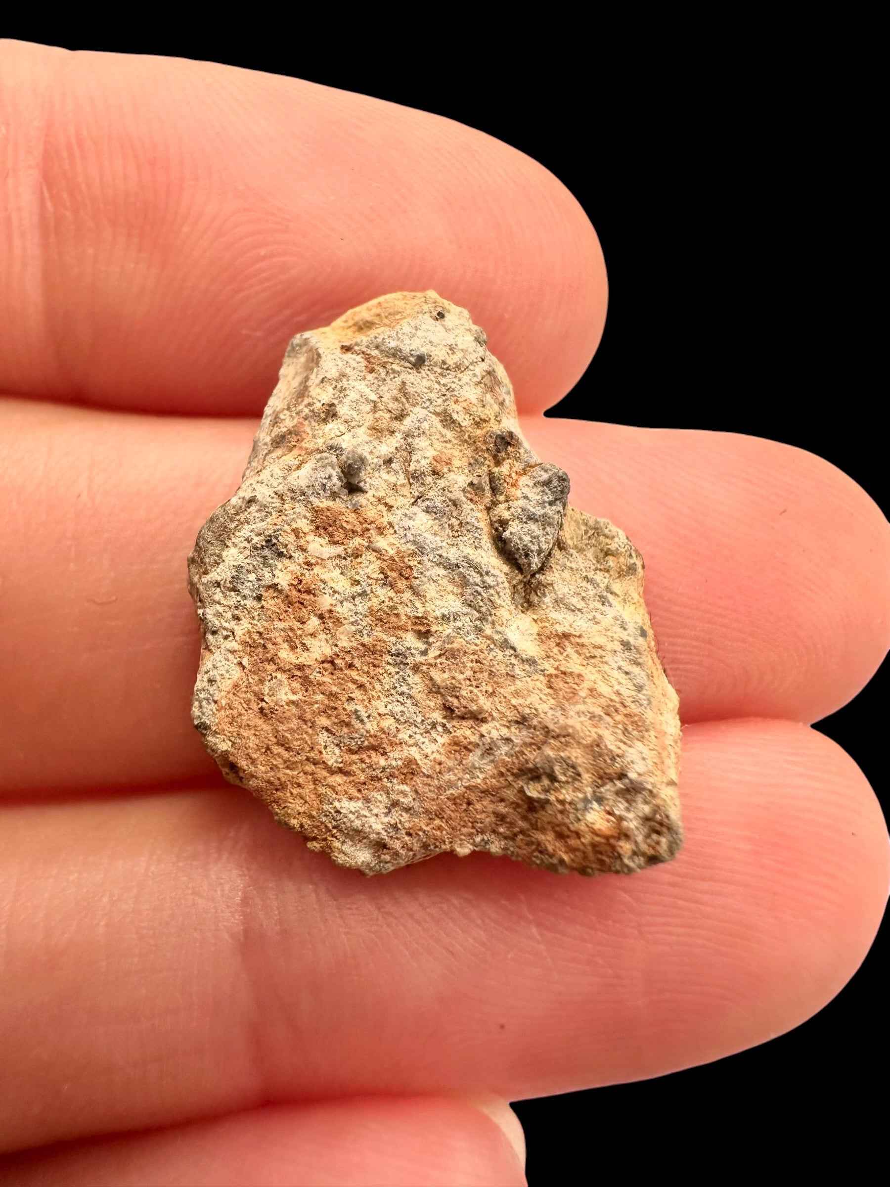 Meteorite lunare Bechar 007 – 2,3g – Algeria / endcut - MEBA187