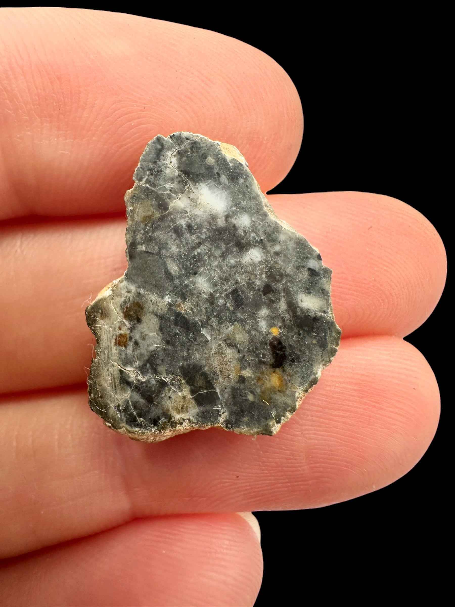 Meteorite lunare Bechar 007 – 2,3g – Algeria / endcut - MEBA187