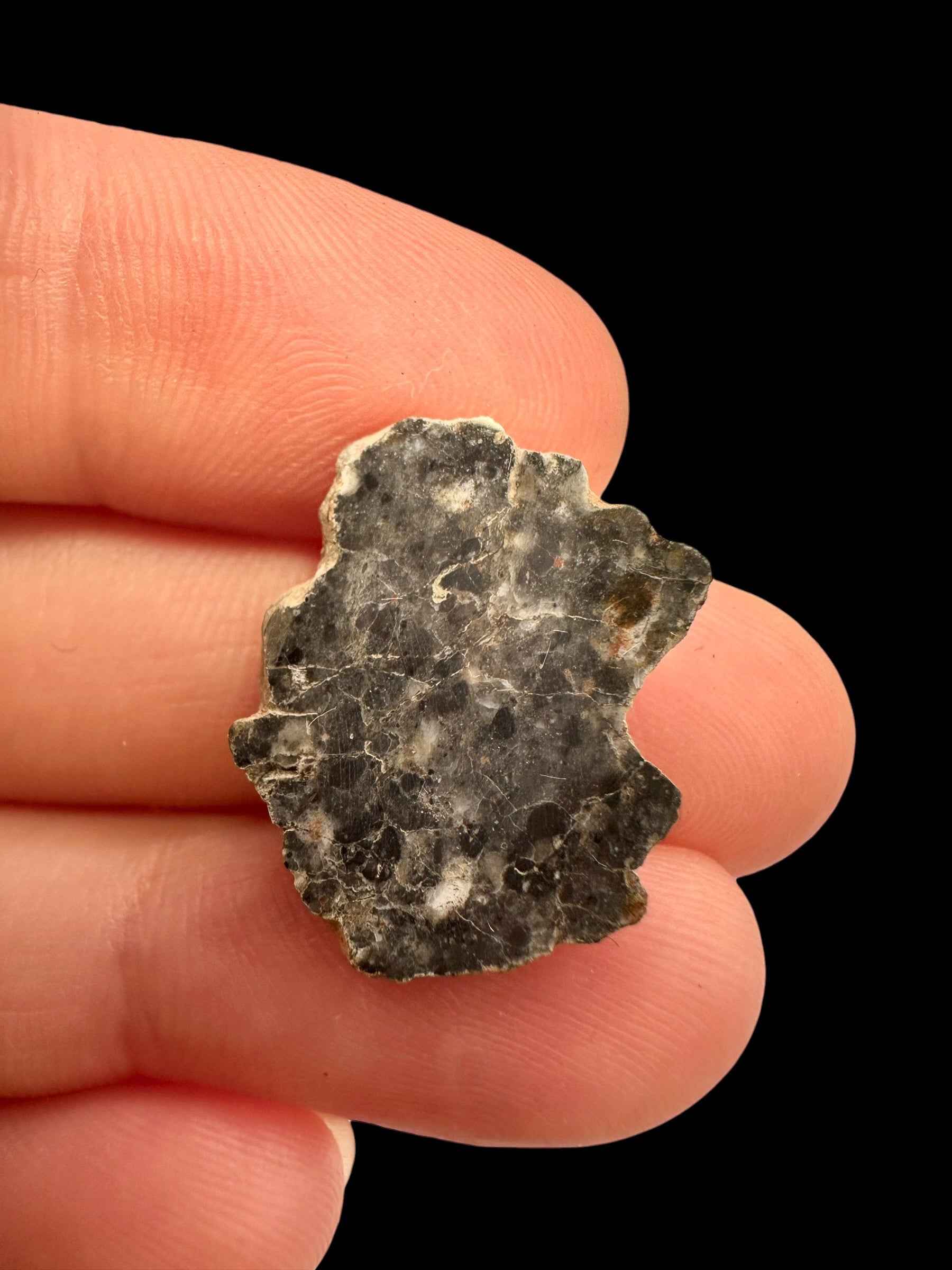 Meteorite lunare Bechar 007 – 2,2g – Algeria / endcut - MEBA188