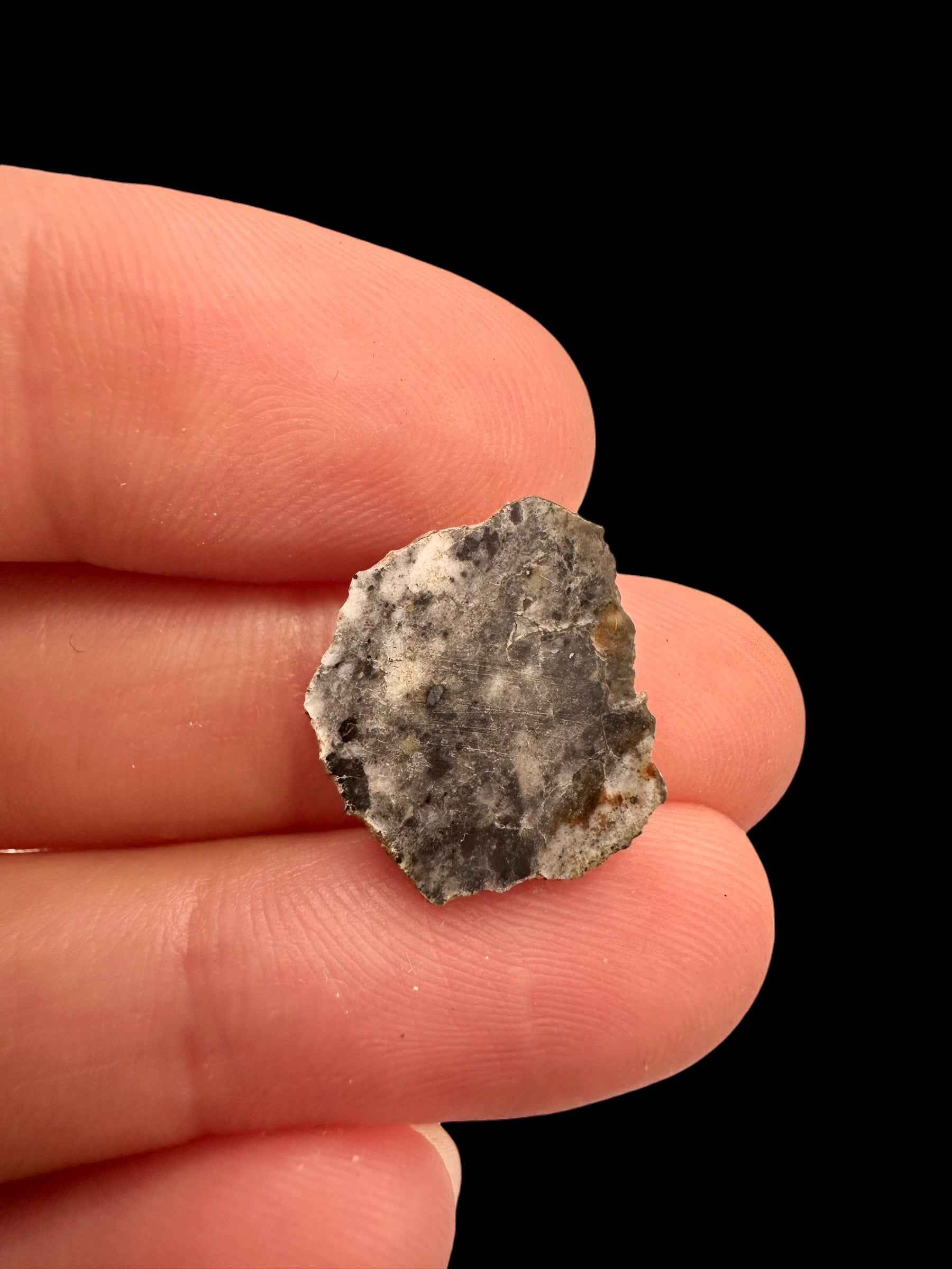 Meteorite lunare Bechar 007 – 1,2g – Algeria / endcut - MEBA190