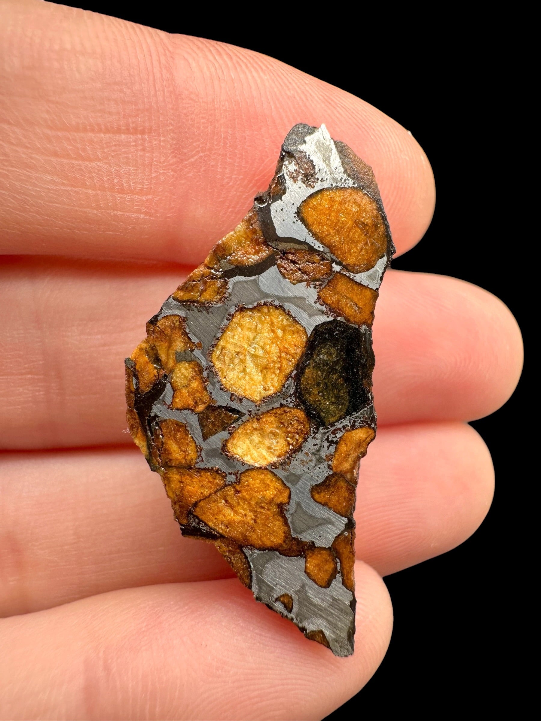 Sericho Pallasite Meteorite – pair 21g – Kenya - MESR220