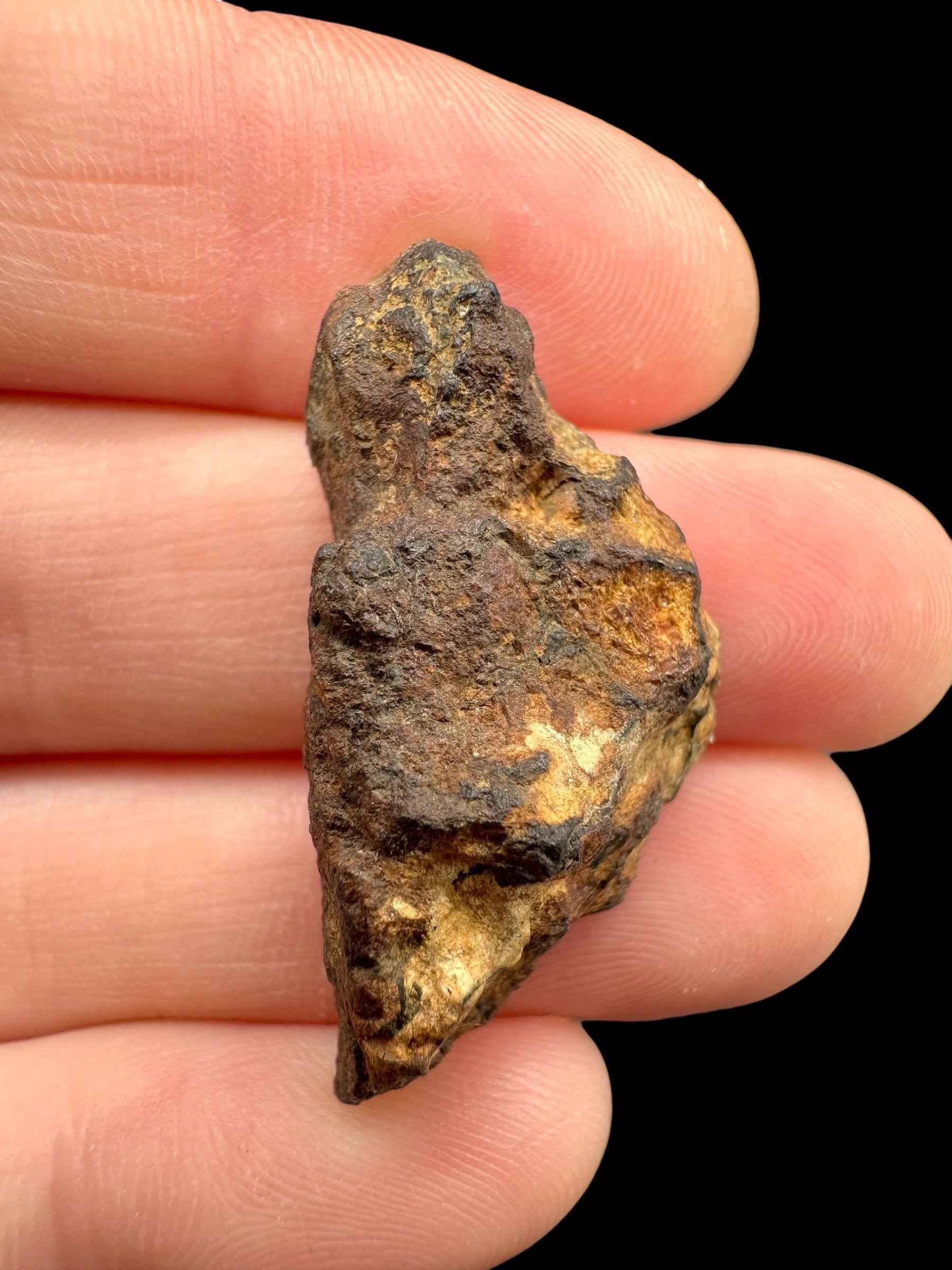 Sericho Pallasite Meteorite – pair 21g – Kenya - MESR220