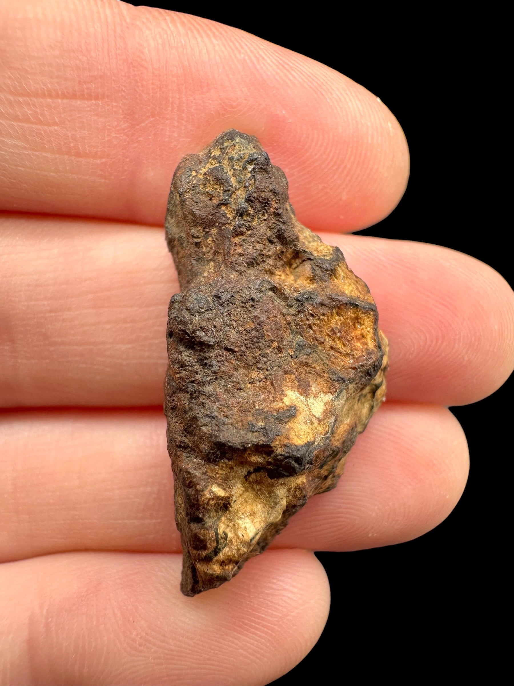 Sericho Pallasite Meteorite – pair 21g – Kenya - MESR220