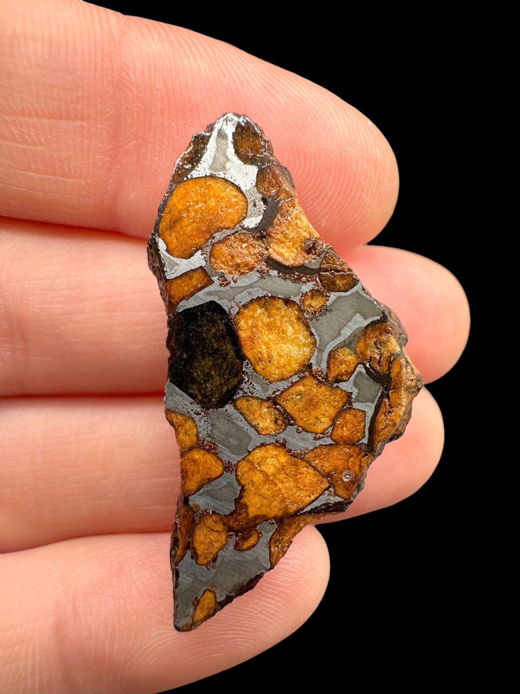 Sericho Pallasite Meteorite – pair 21g – Kenya - MESR220
