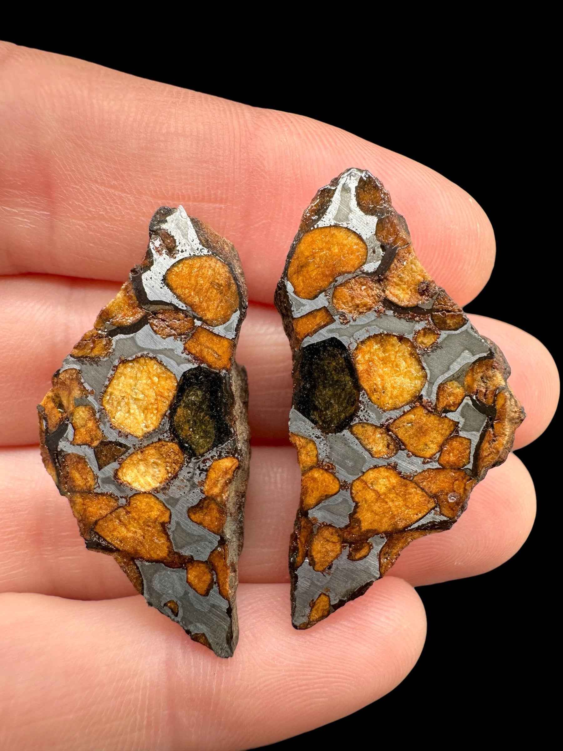 Sericho Pallasite Meteorite – pair 21g – Kenya - MESR220