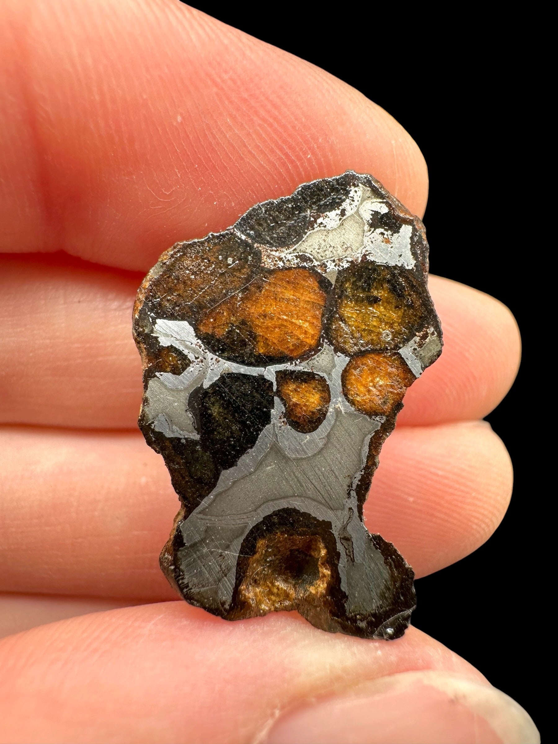 Sericho Pallasite Meteorite – pair 11g – Kenya - MESR221