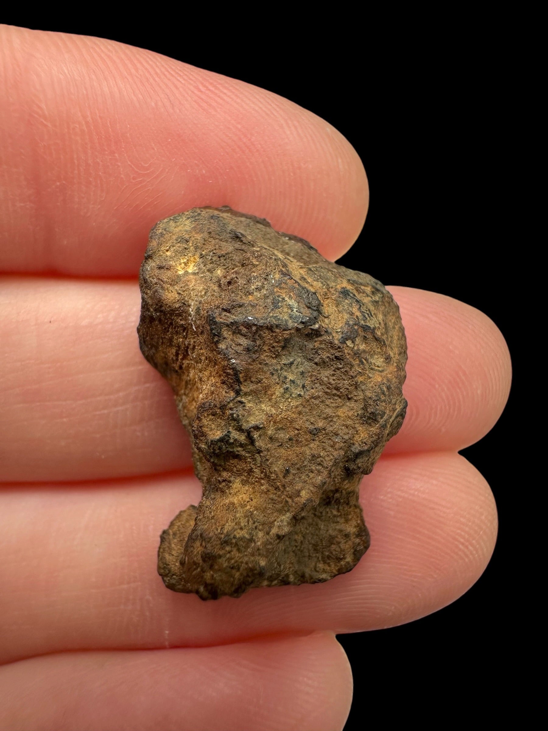 Sericho Pallasite Meteorite – pair 11g – Kenya - MESR221