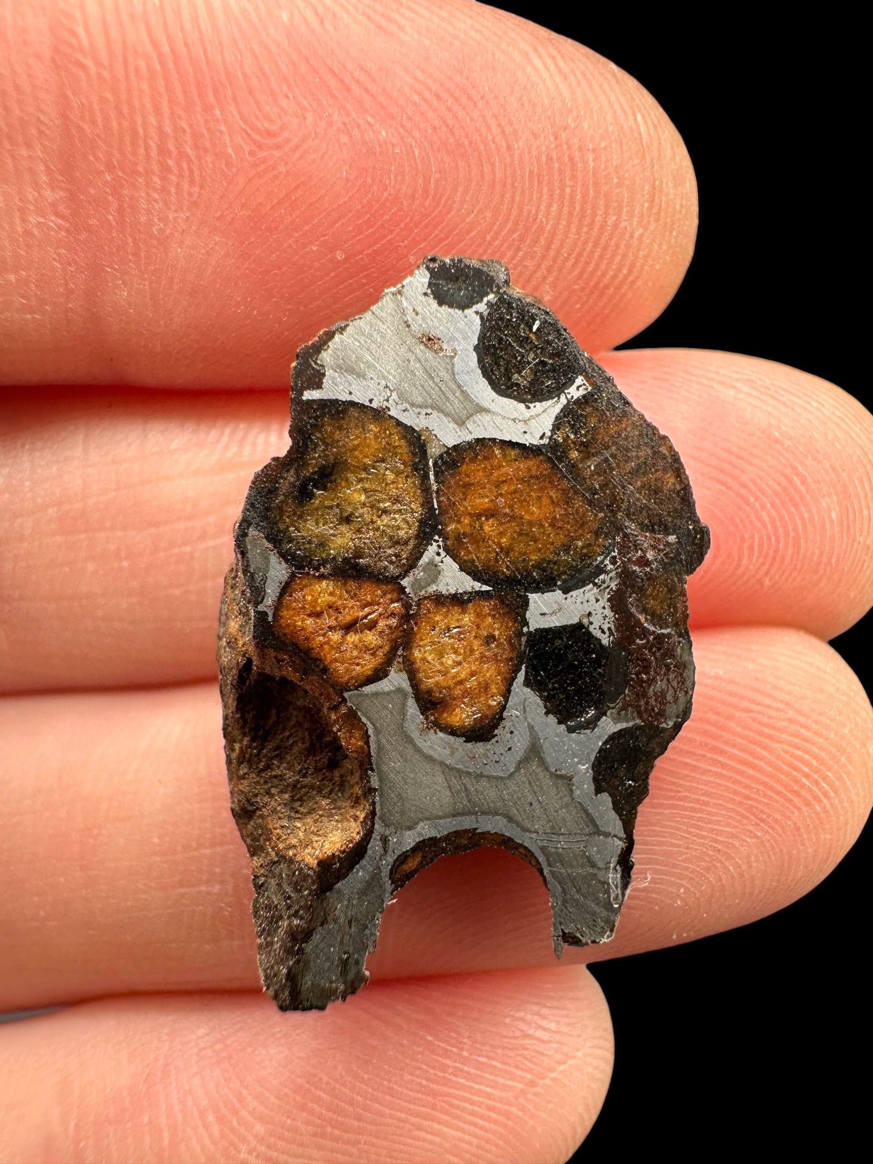 Sericho Pallasite Meteorite – pair 11g – Kenya - MESR221