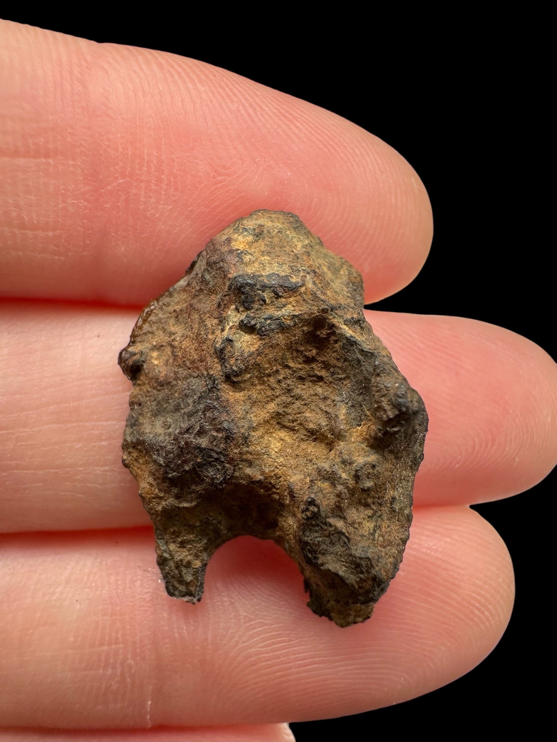 Sericho Pallasite Meteorite – pair 11g – Kenya - MESR221