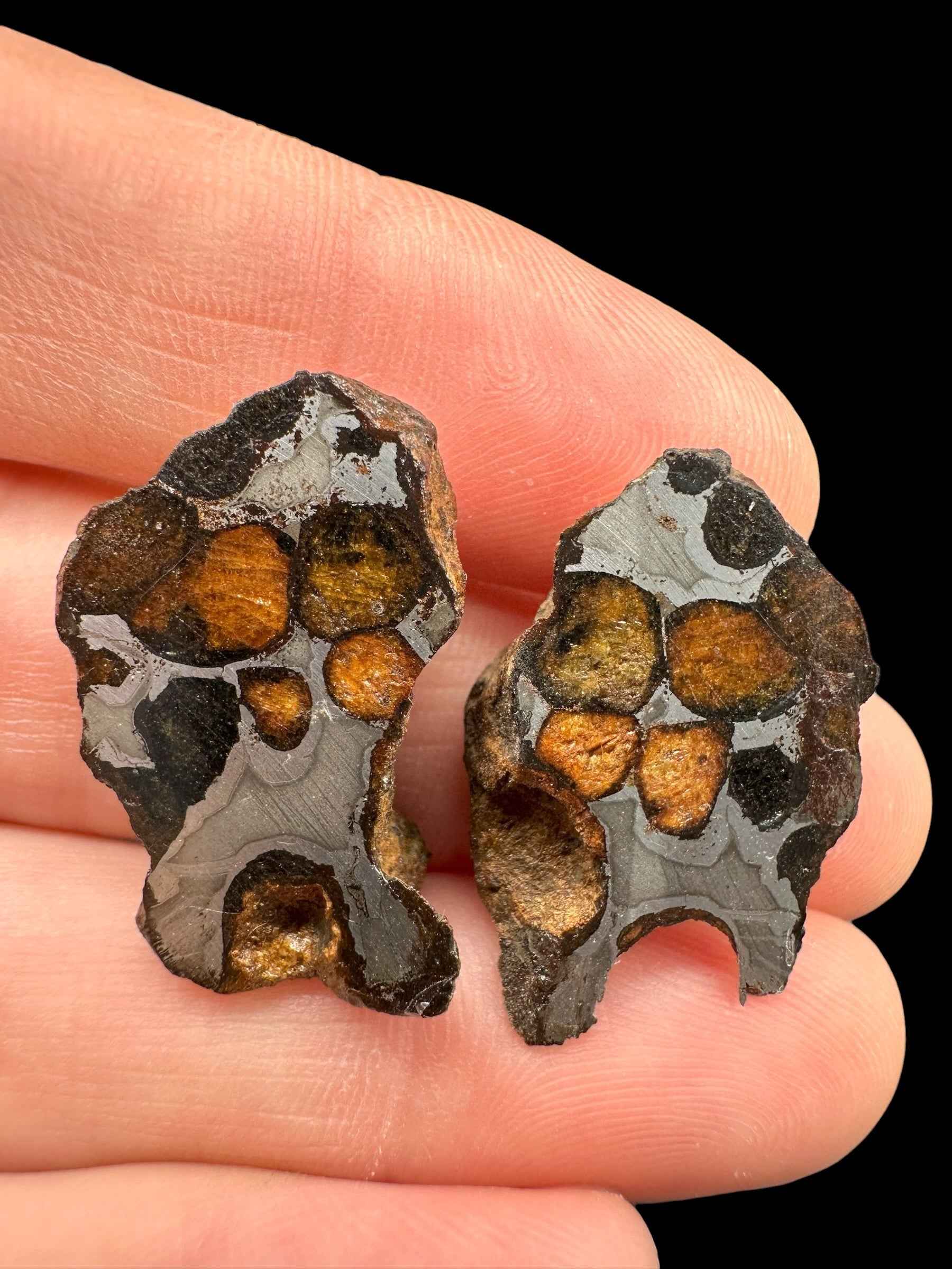 Sericho Pallasite Meteorite – pair 11g – Kenya - MESR221