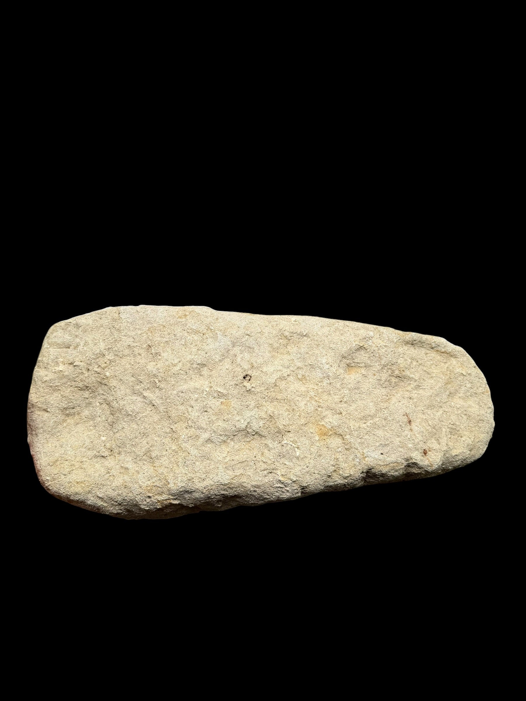 Jaw with Teeth of the Fish Enchodus lybicus – Morocco - TOP02