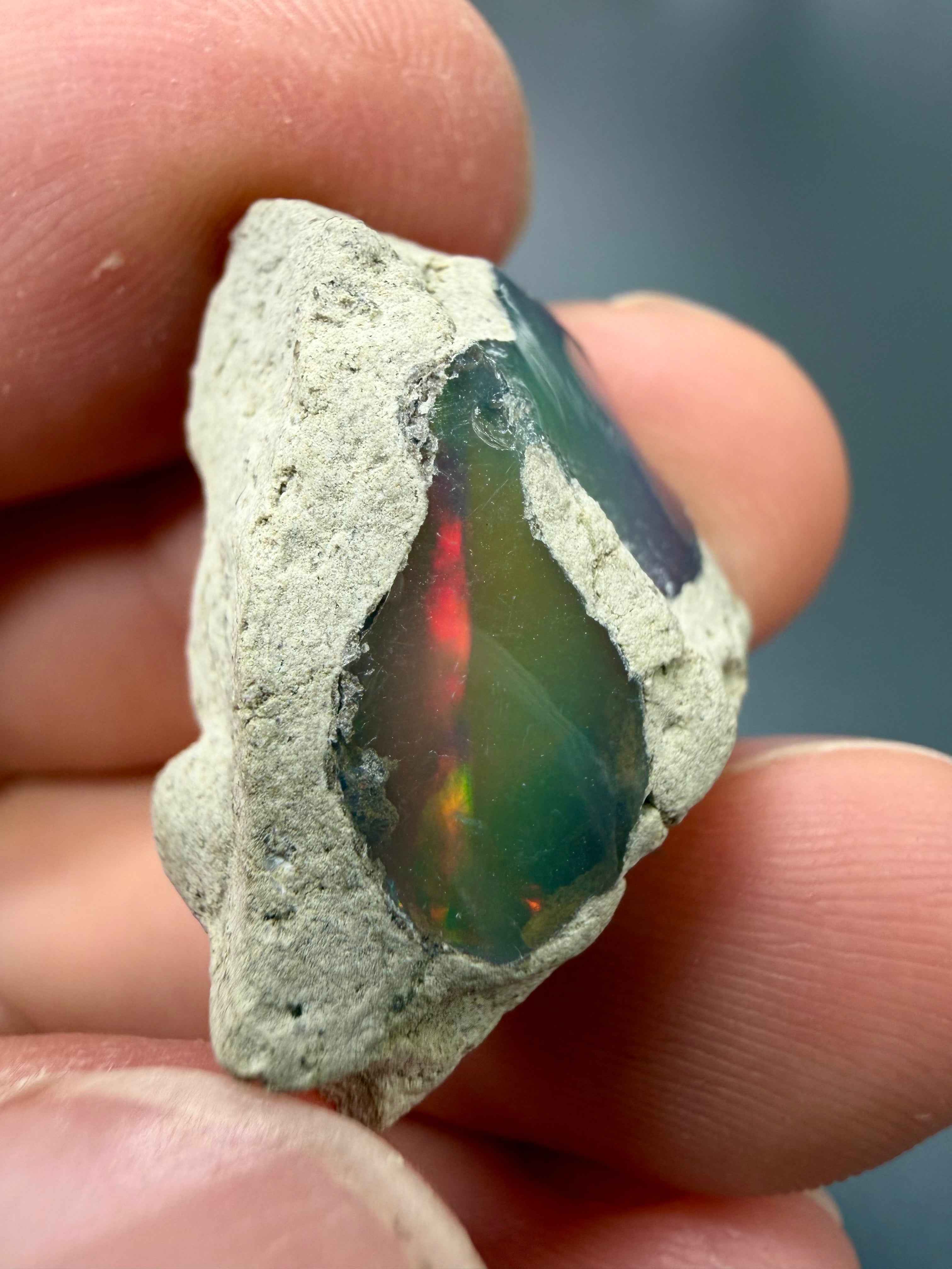 Opale prezioso 24,25ct – dark – Welo, Ethiopia - OP323