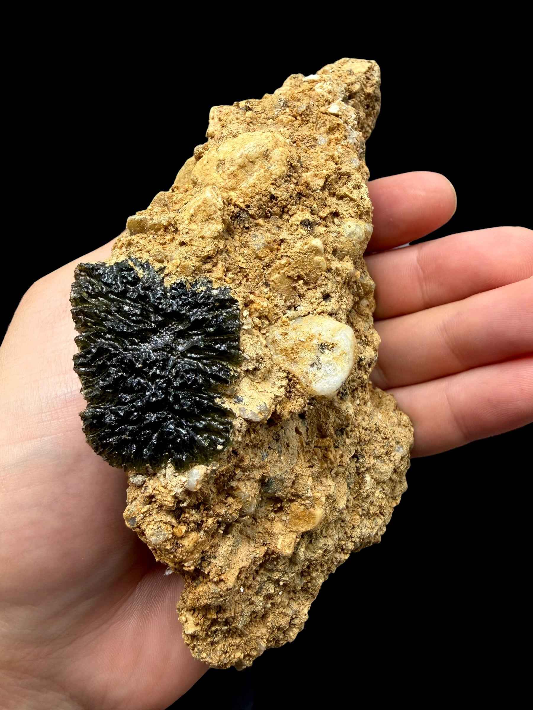 Moldavite nel sedimento – Maly Chlum - INS063