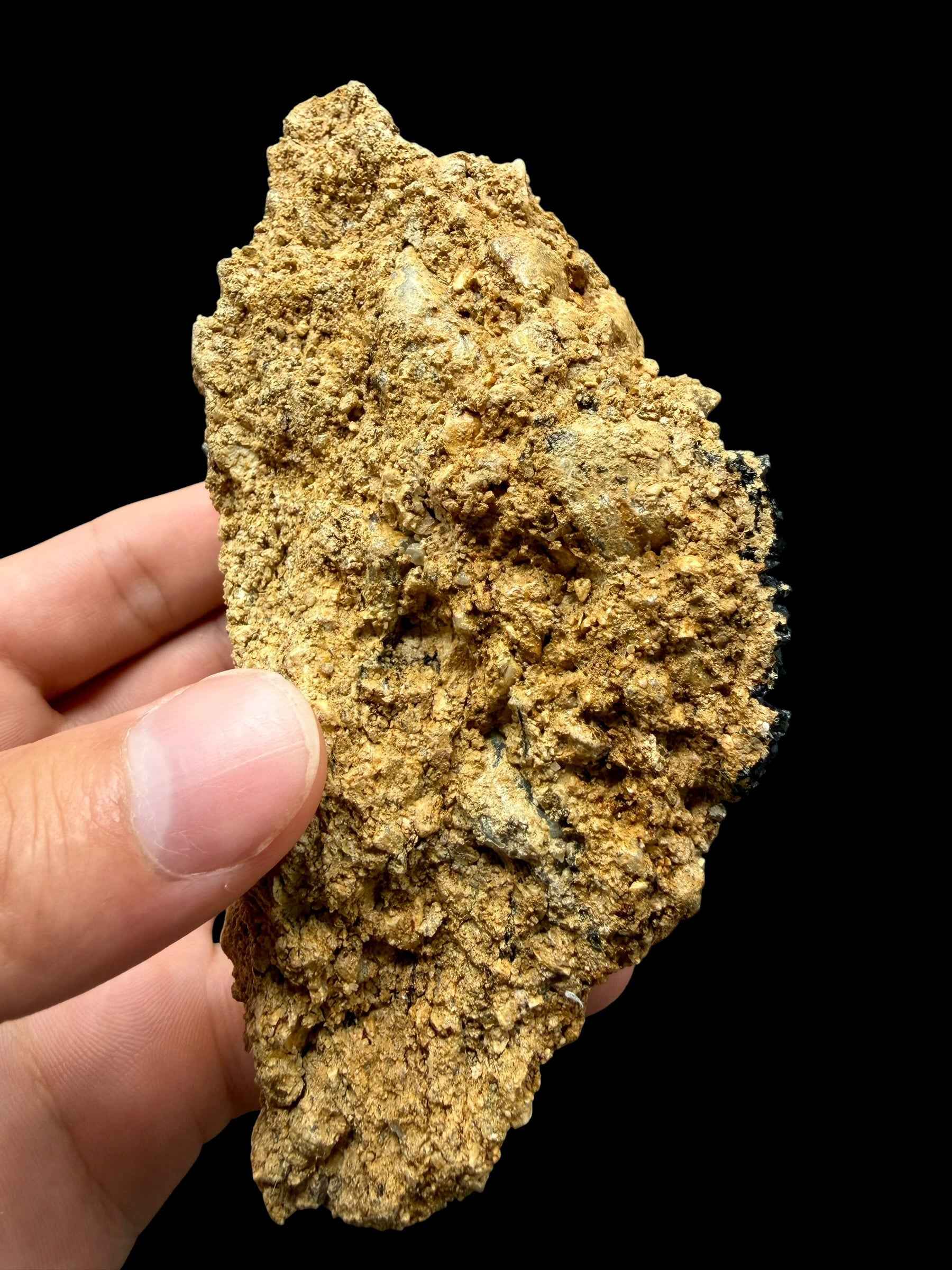 Moldavite nel sedimento – Maly Chlum - INS063