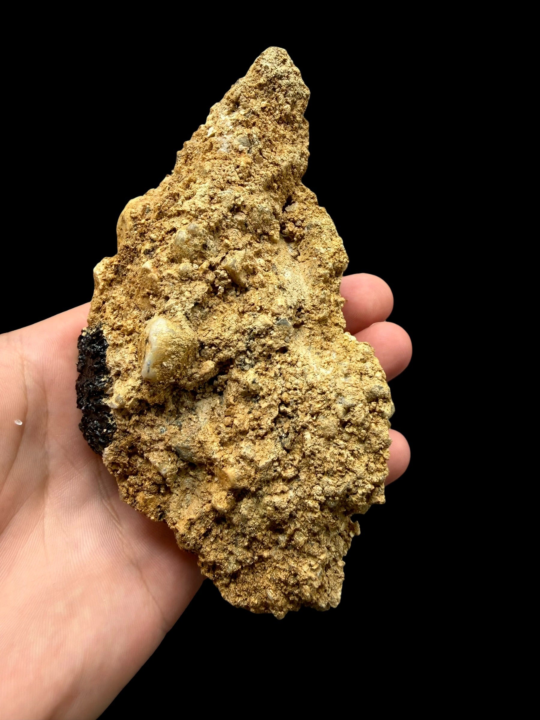 Moldavite in the sediment – Maly Chlum - INS063