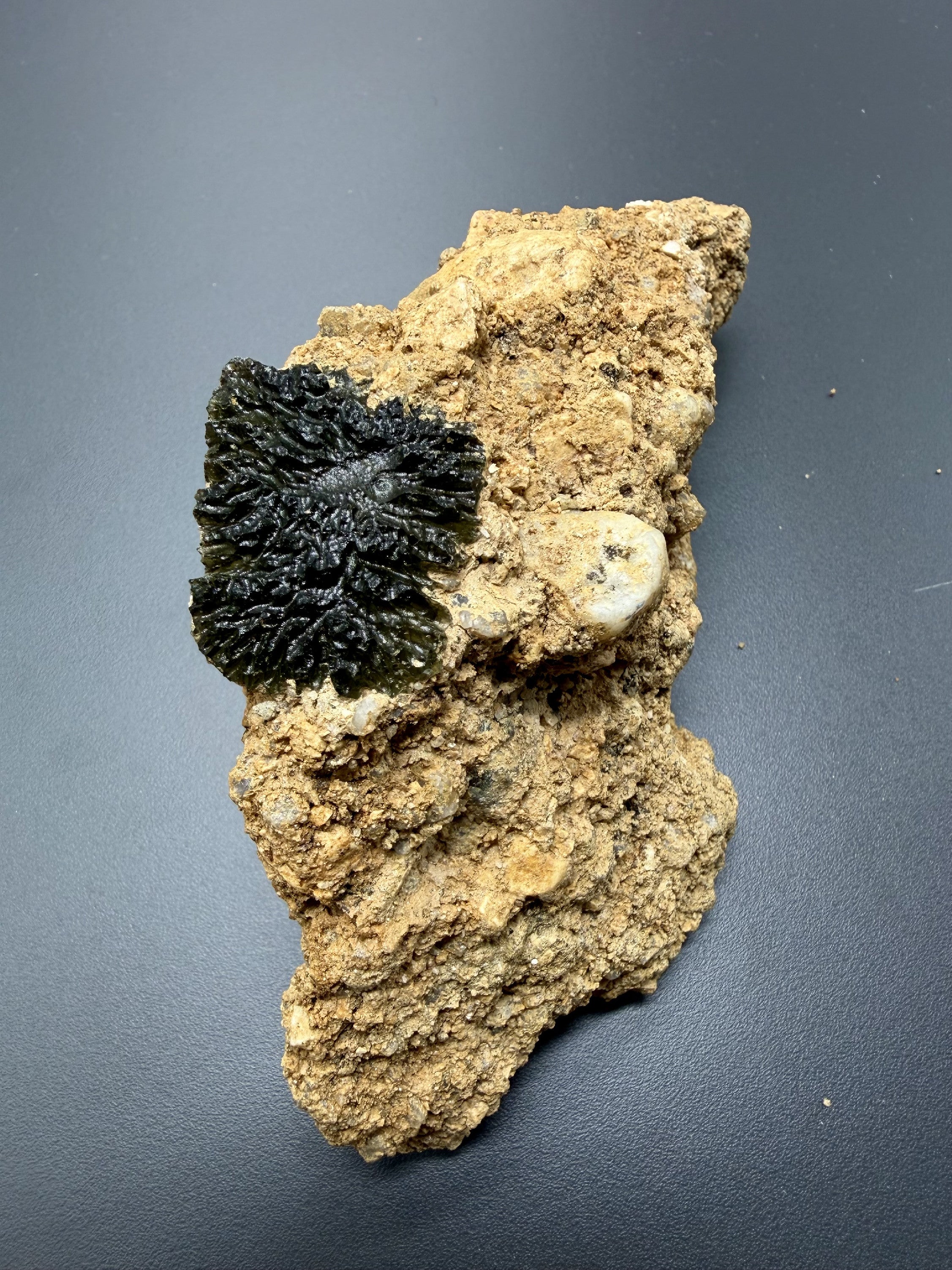 Moldavite in the sediment – Maly Chlum