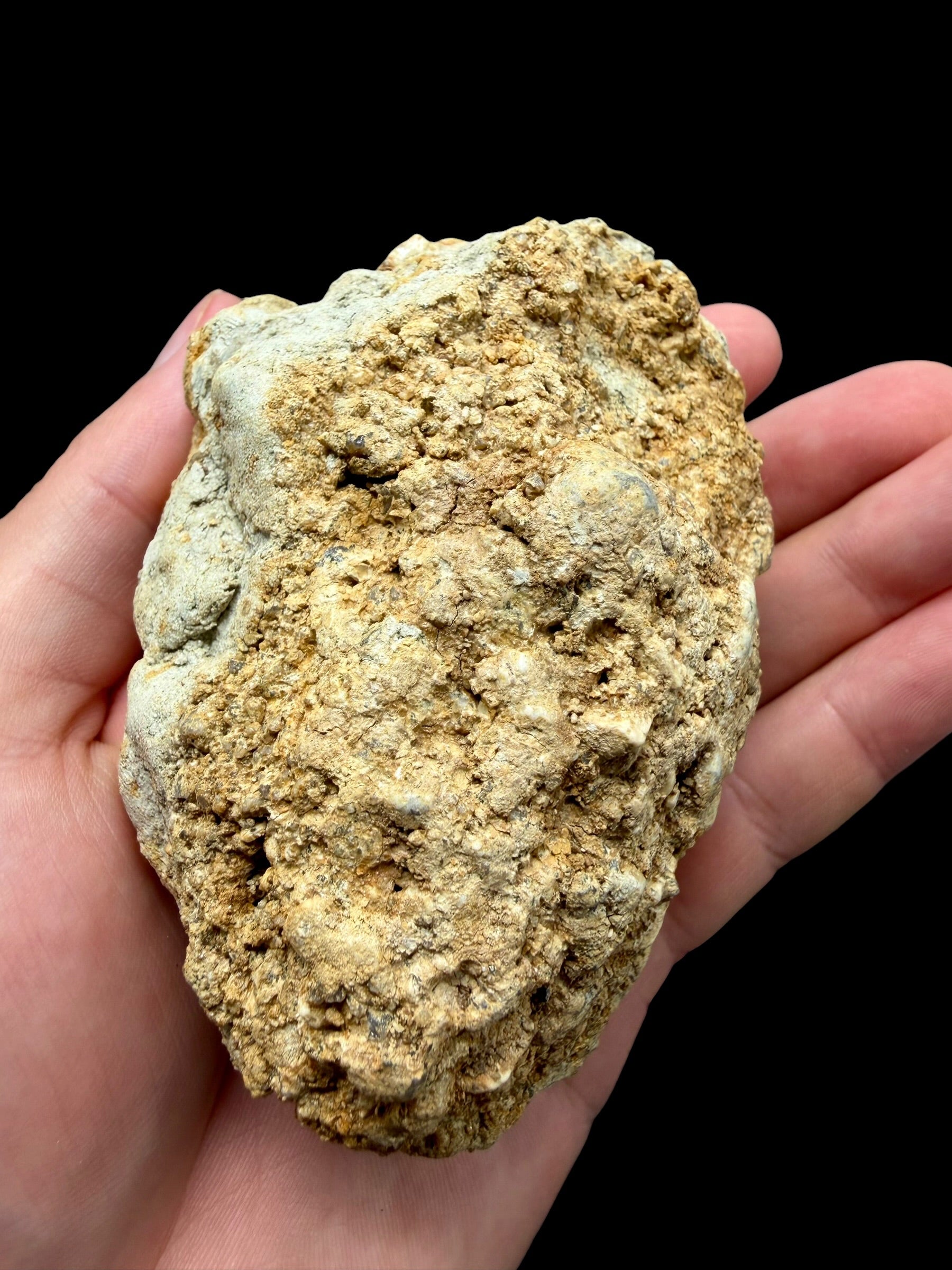 Moldavite in the sediment – Marouskovo pole - INS064