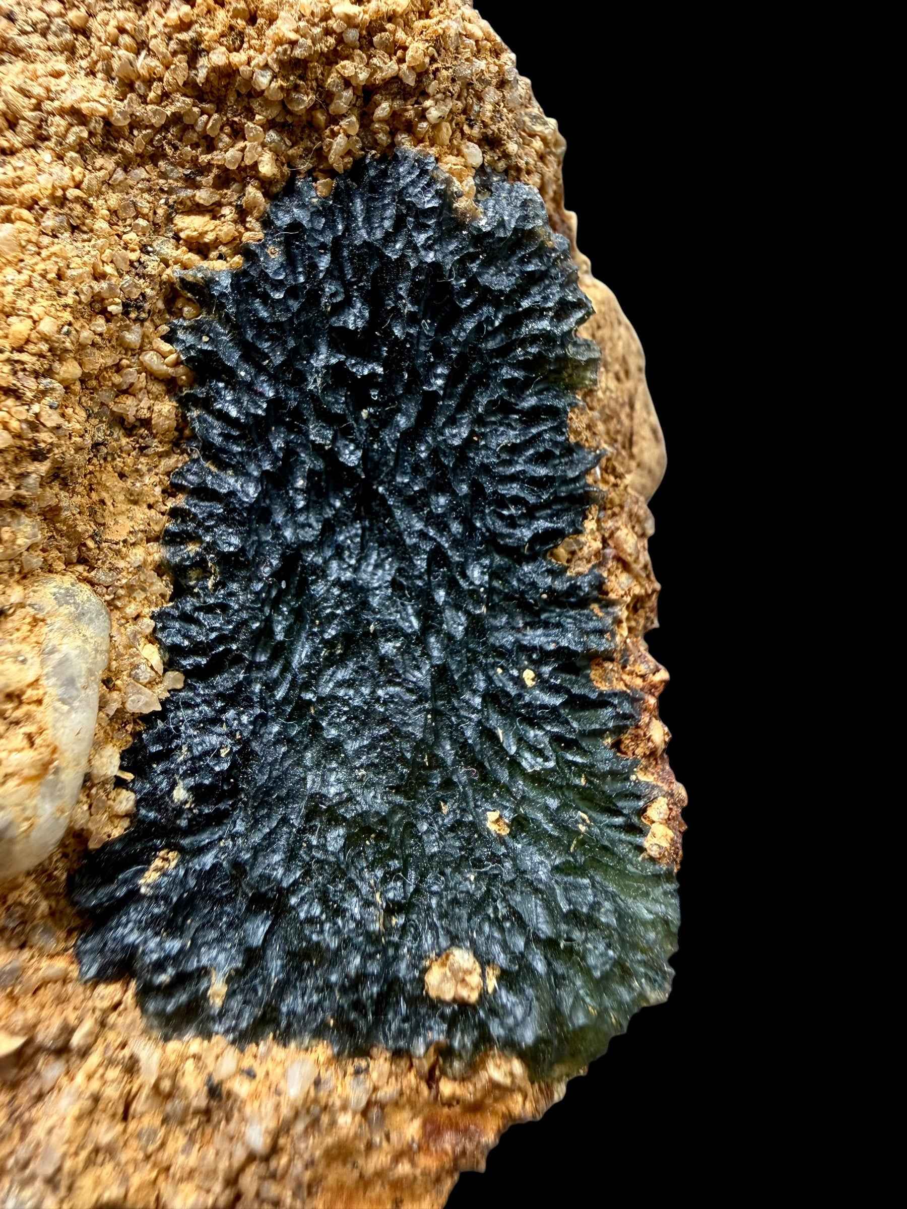 Moldavite nel sedimento – Nesmen - INS065