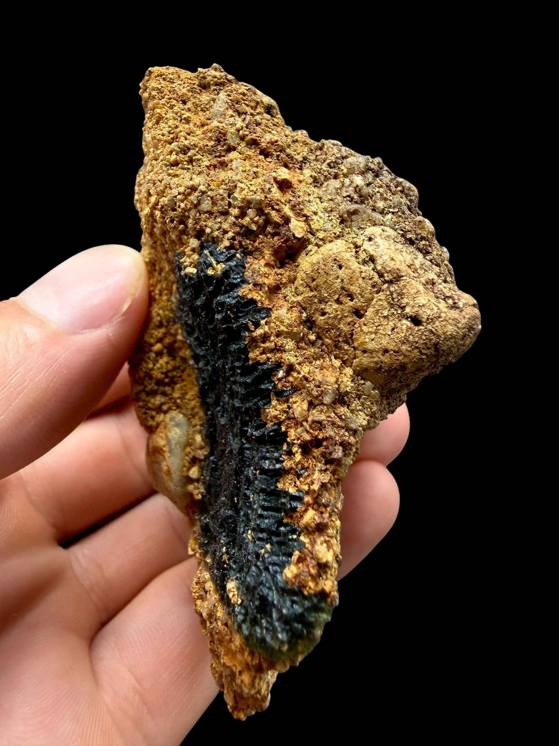 Moldavite nel sedimento – Nesmen - INS065