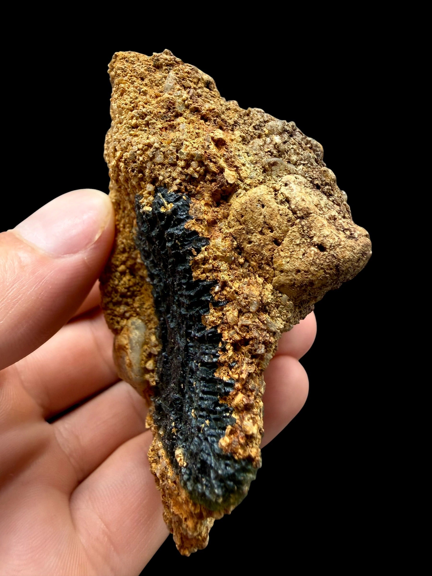 Moldavite in the sediment – Nesmen - INS065