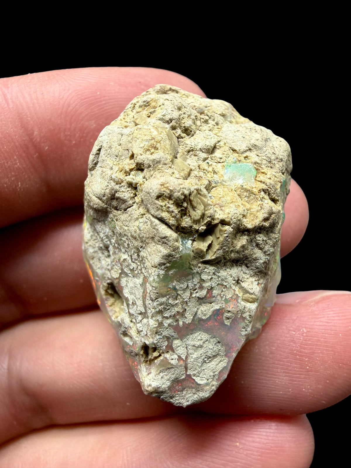 Precious opal 62ct – Welo, Ethiopia - OP366
