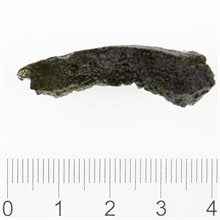 Moldavite - Slavče u Trhových Svinů - 9,90 g