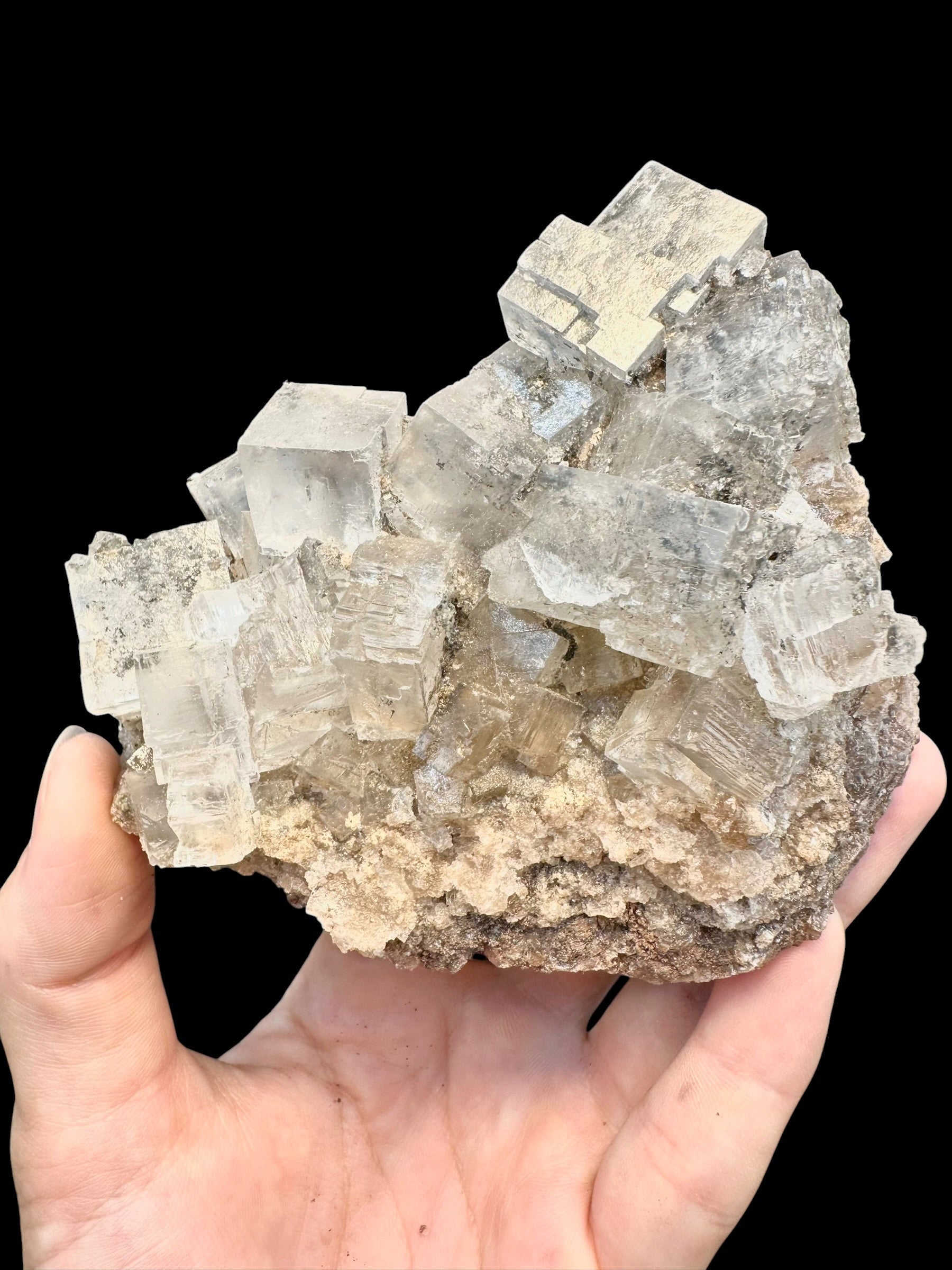 Halite – Jdyiriya, Laayoune, Morocco