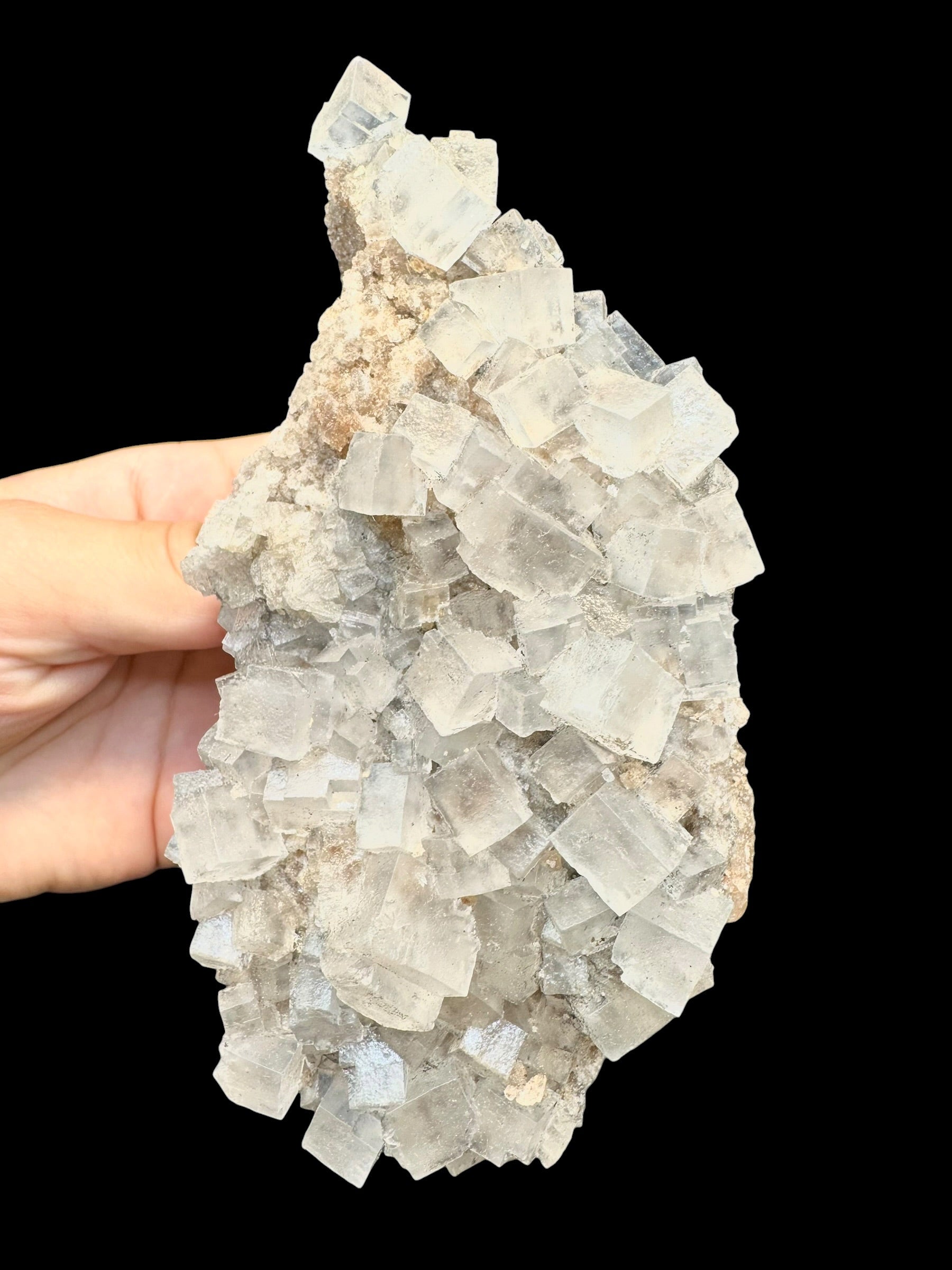 Halite – Jdyiriya, Laayoune, Morocco