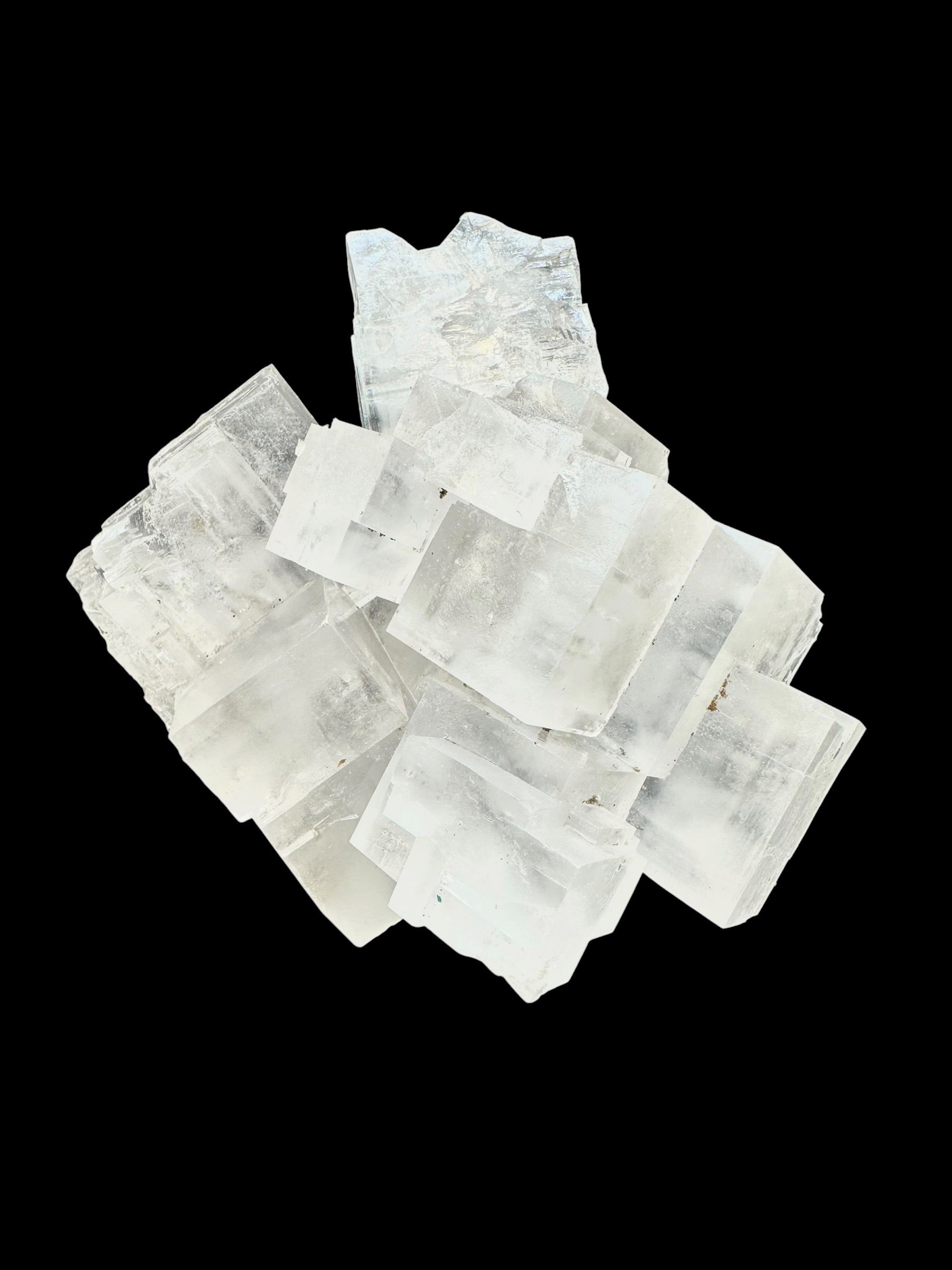 Halite – Jdyiriya, Laayoune, Morocco
