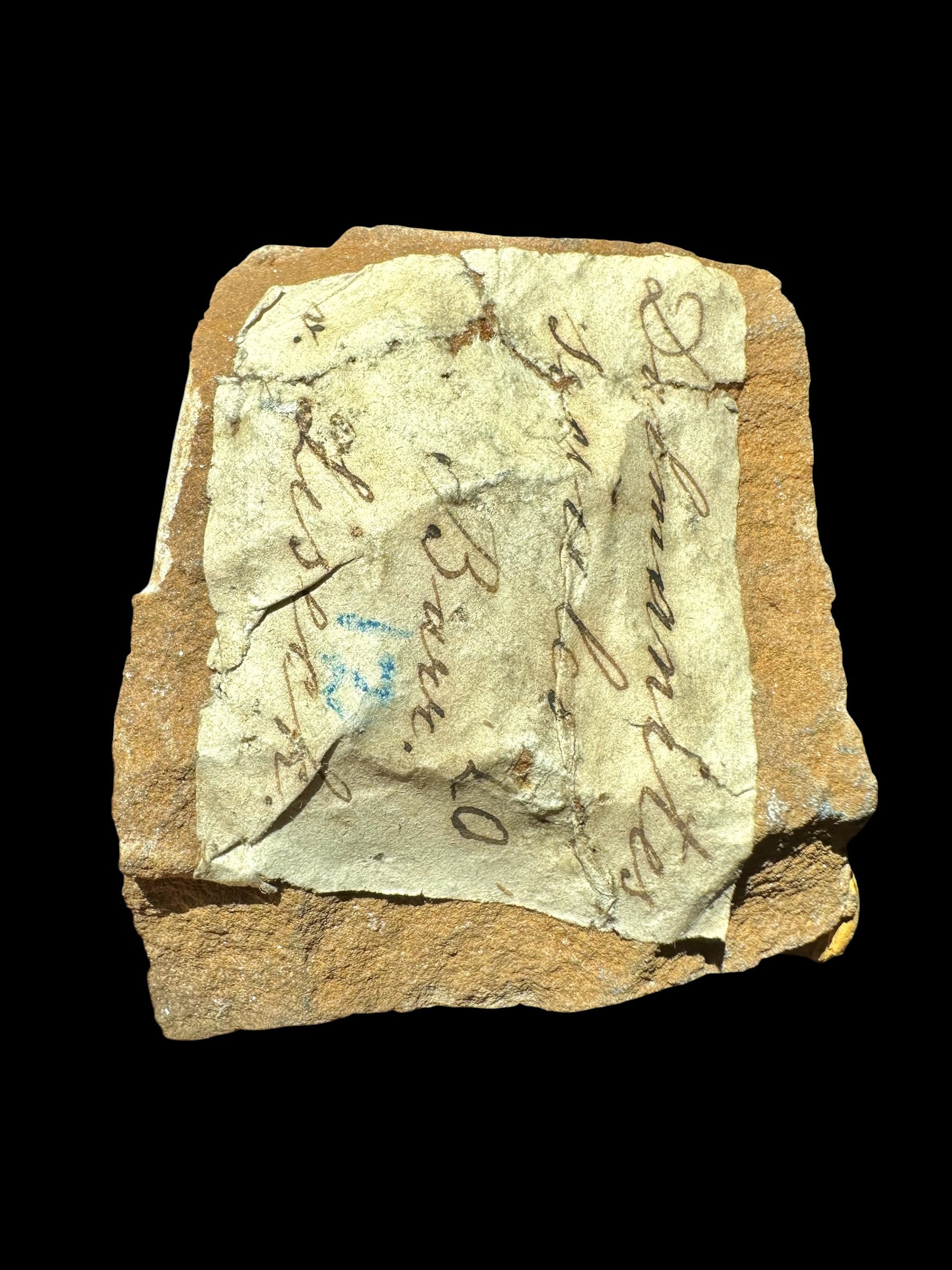 Trilobite Dalmanitina socialis – Lisek u Berouna, CZ - TN113