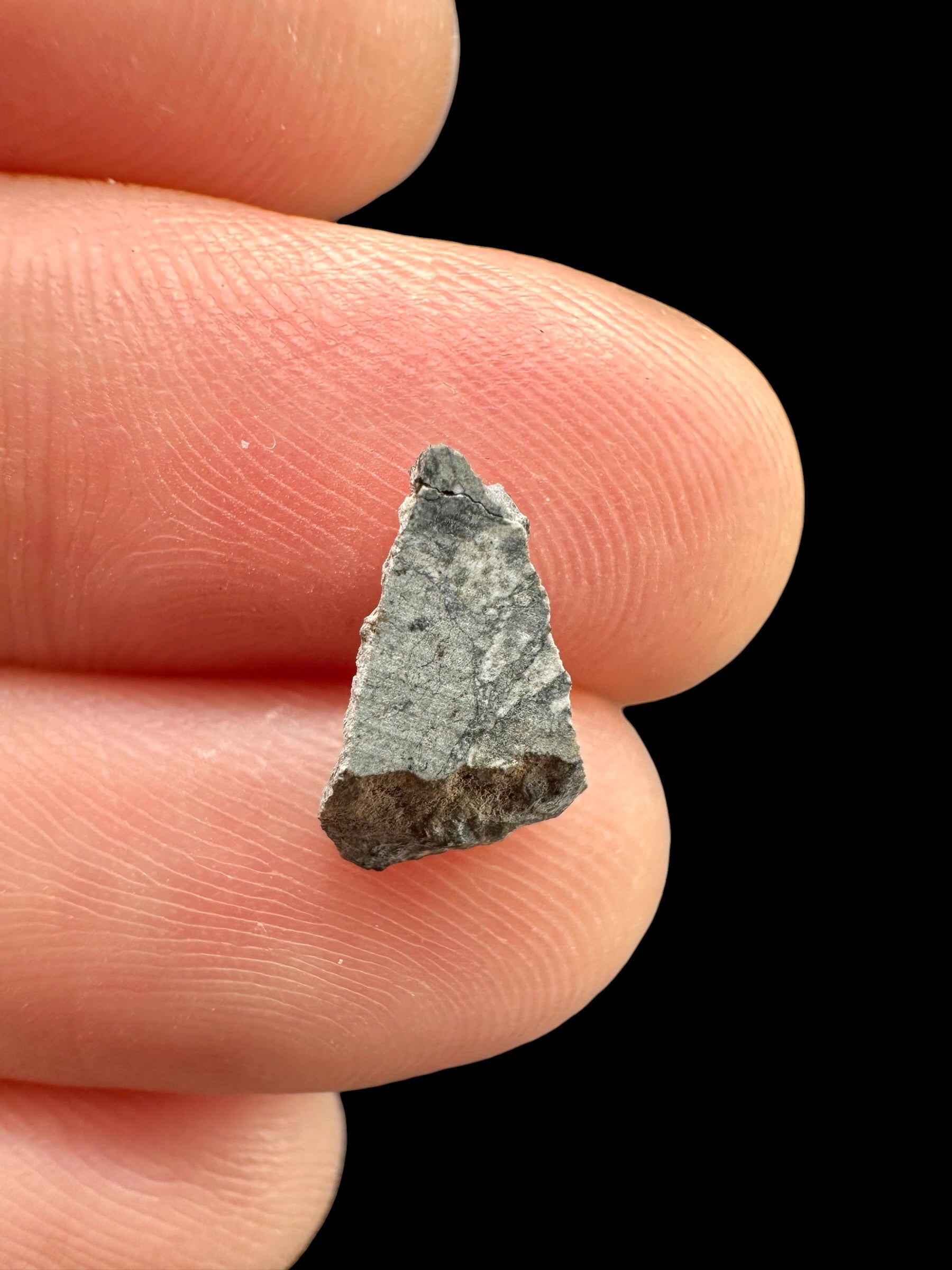 Lunar meteorite Gadamis 003 – 0,2g – Libya - MEGD51