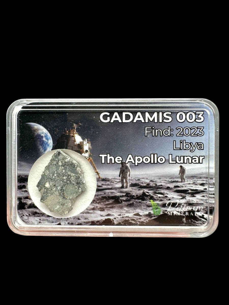 Fetta di meteorite lunare Gadamis 003 grigia con clasti bianchi in teca trasparente