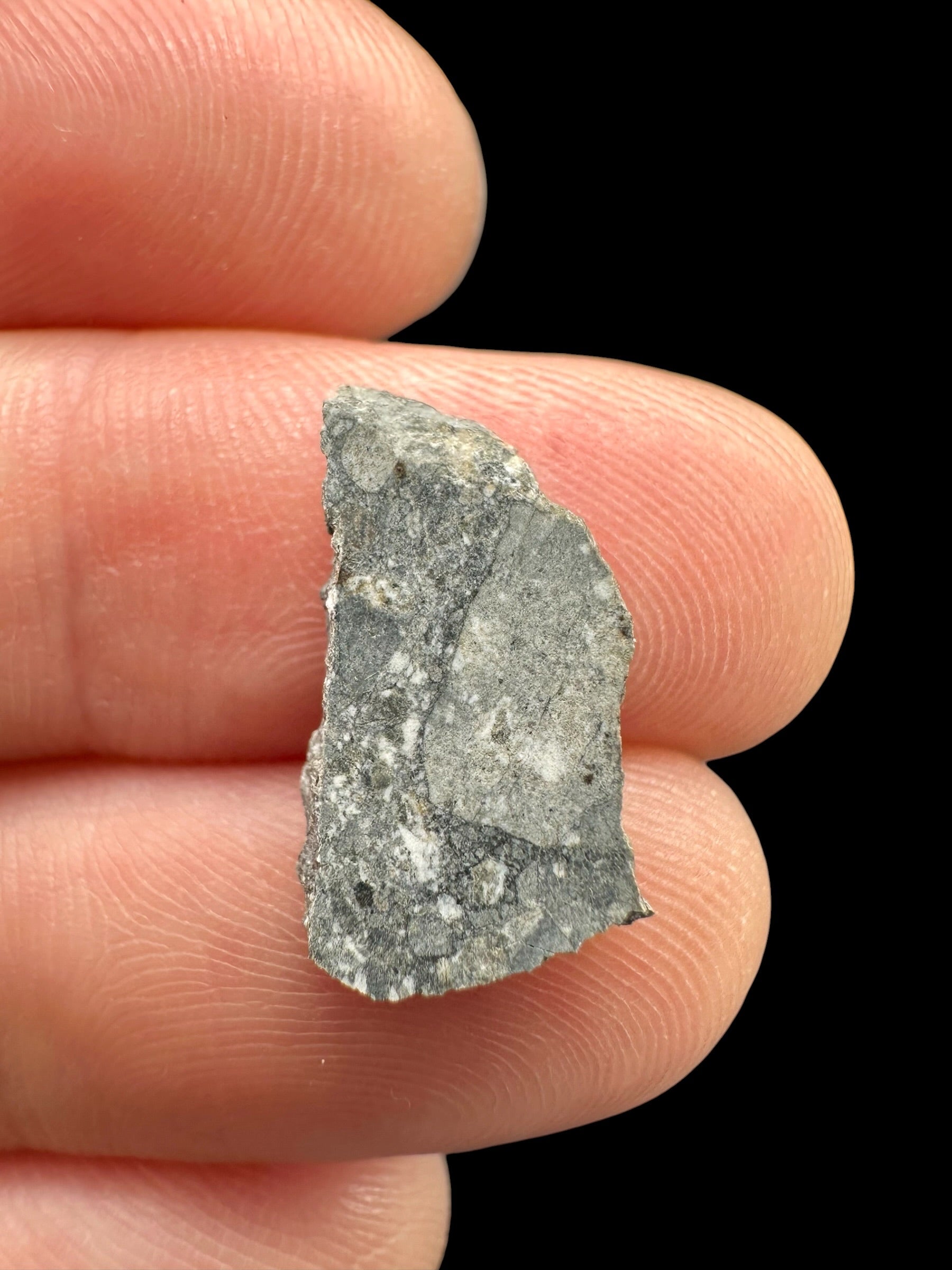 Lunar meteorite Gadamis 003 – 0,6g – Libya - MEGD56