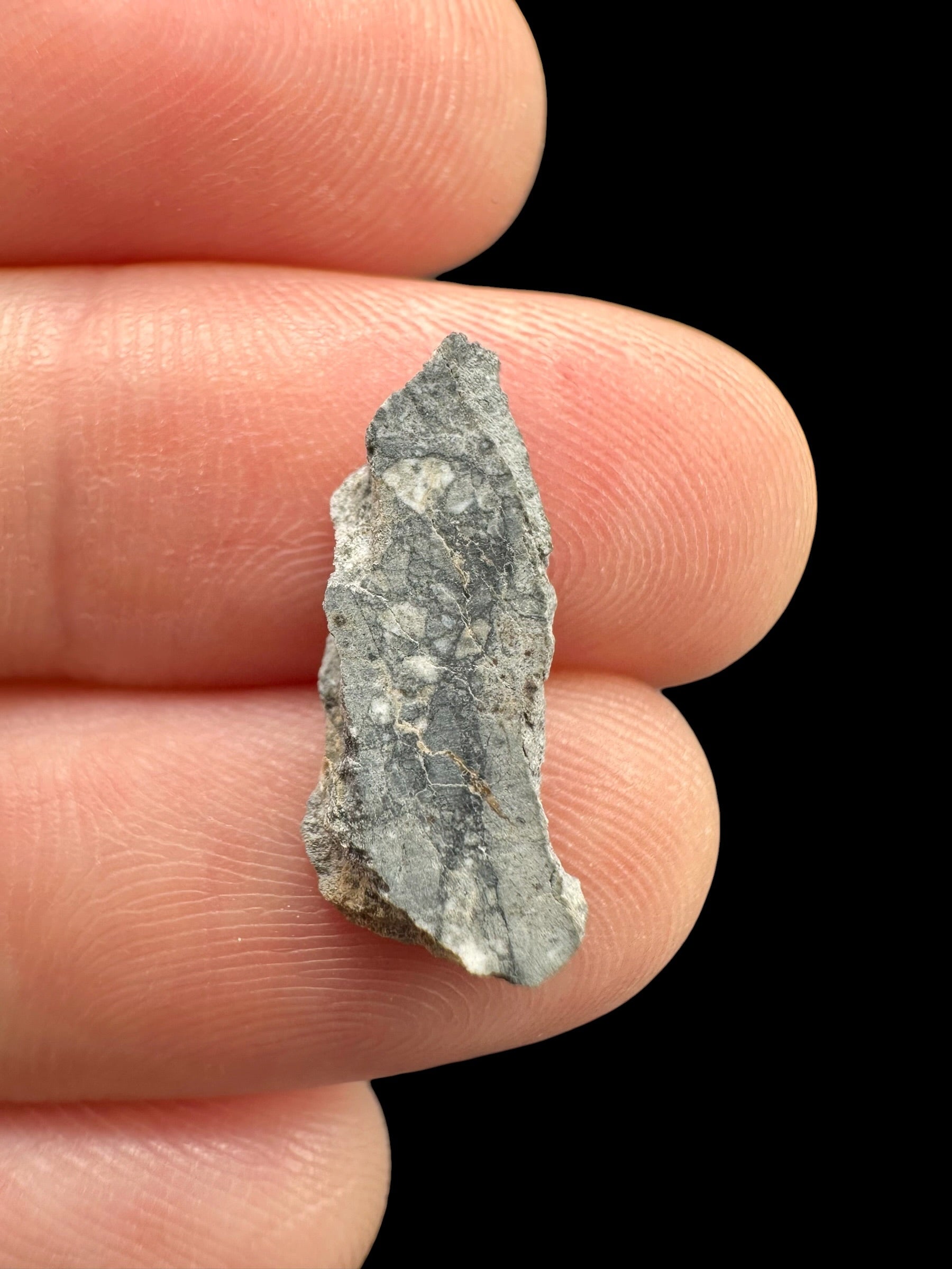 Lunar meteorite Gadamis 003 – 0,5g – Libya - MEGD58