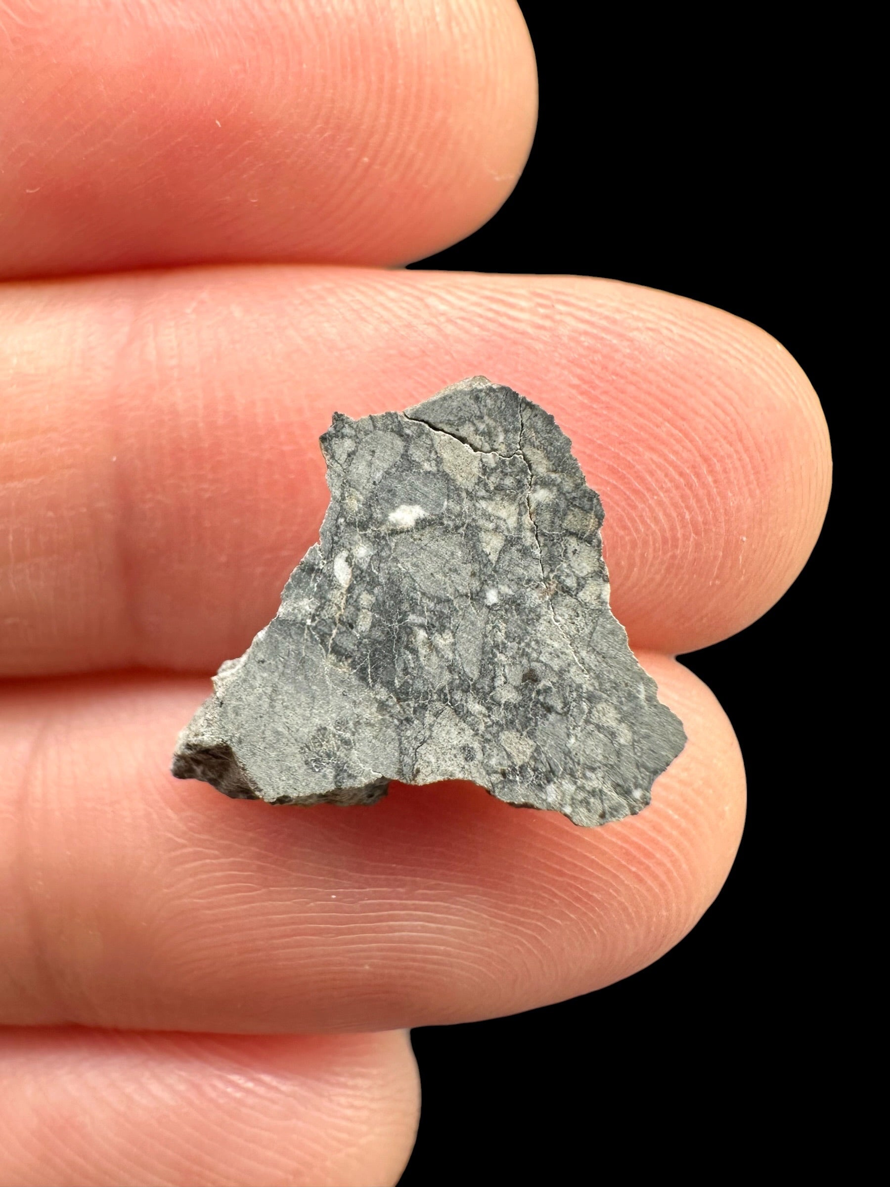 Lunar meteorite Gadamis 003 – 0,5g – Libya - MEGD59