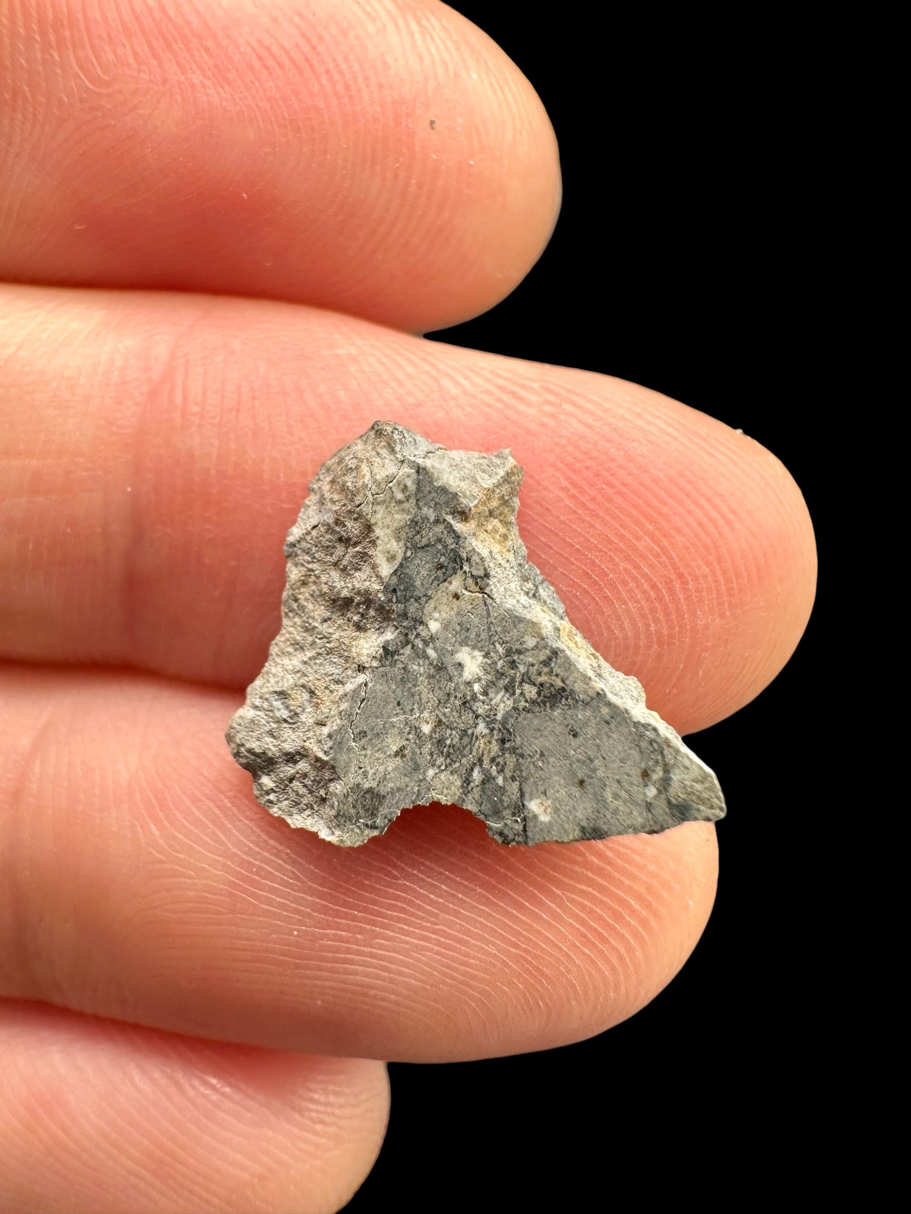 Lunar meteorite Gadamis 003 – 0,5g – Libya - MEGD59