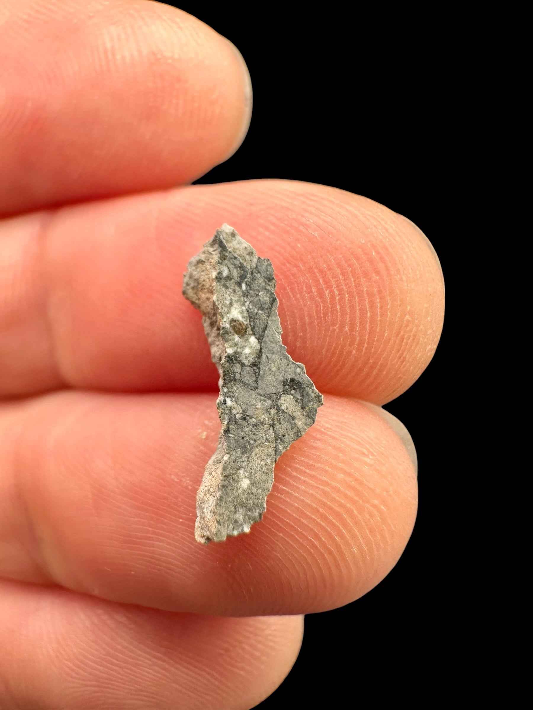 Meteorite lunare Gadamis 003 – 0,1g – Libya - MEGD66