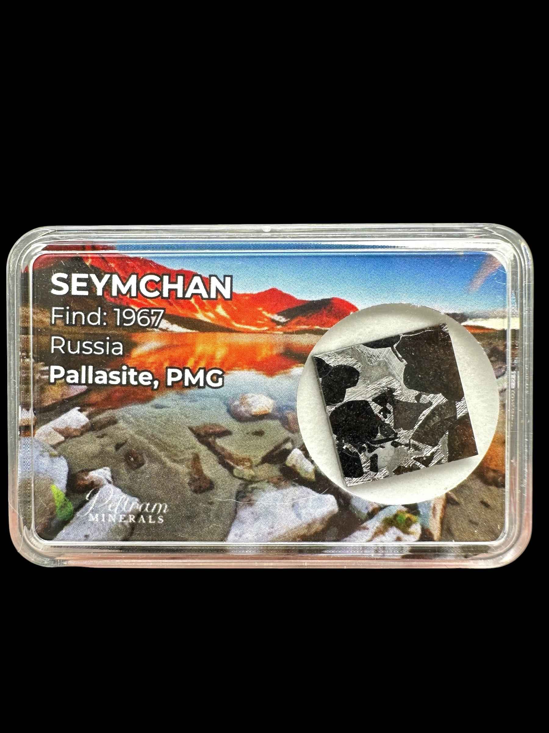 Fetta quadrata di meteorite Seymchan con reticolo metallico chiaro su fondo scuro, in box trasparente con etichetta