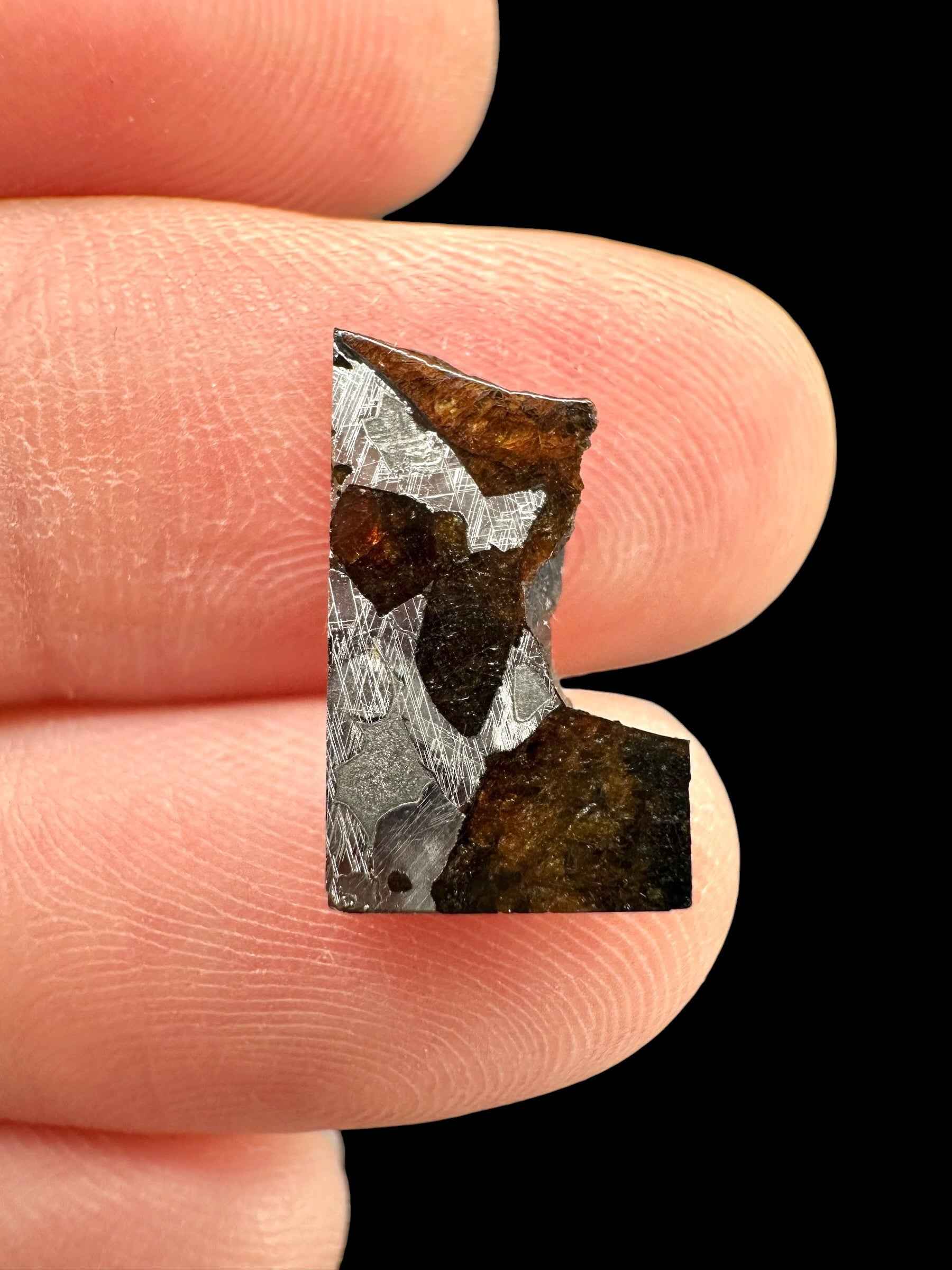 Meteorite di Seymchan 0,8g – Magadan, Russia - MESM141
