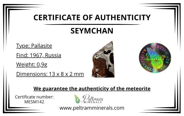 Meteorite Seymchan 0,9g – Magadan, Russia - MESM142
