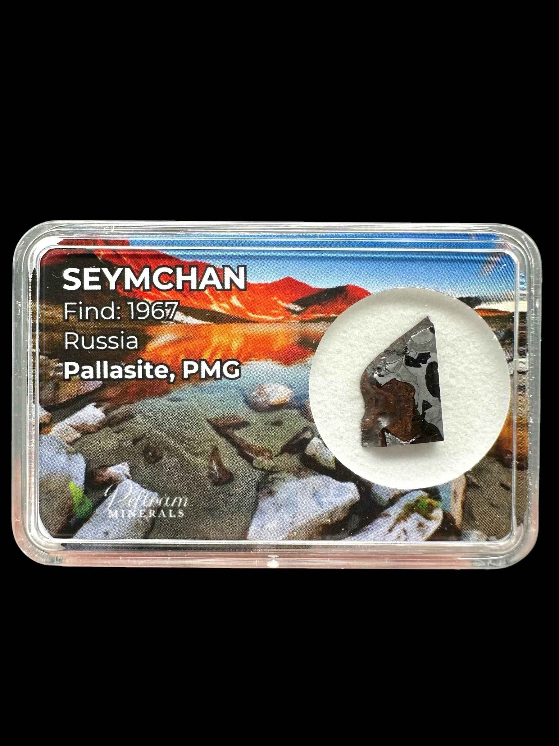 Fetta trapezoidale lucidata di meteorite Seymchan con superficie metallica e chiazze scure, in box trasparente