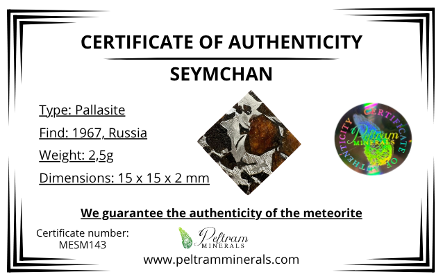 Meteorite Seymchan 2,5g – Magadan, Russia - MESM143