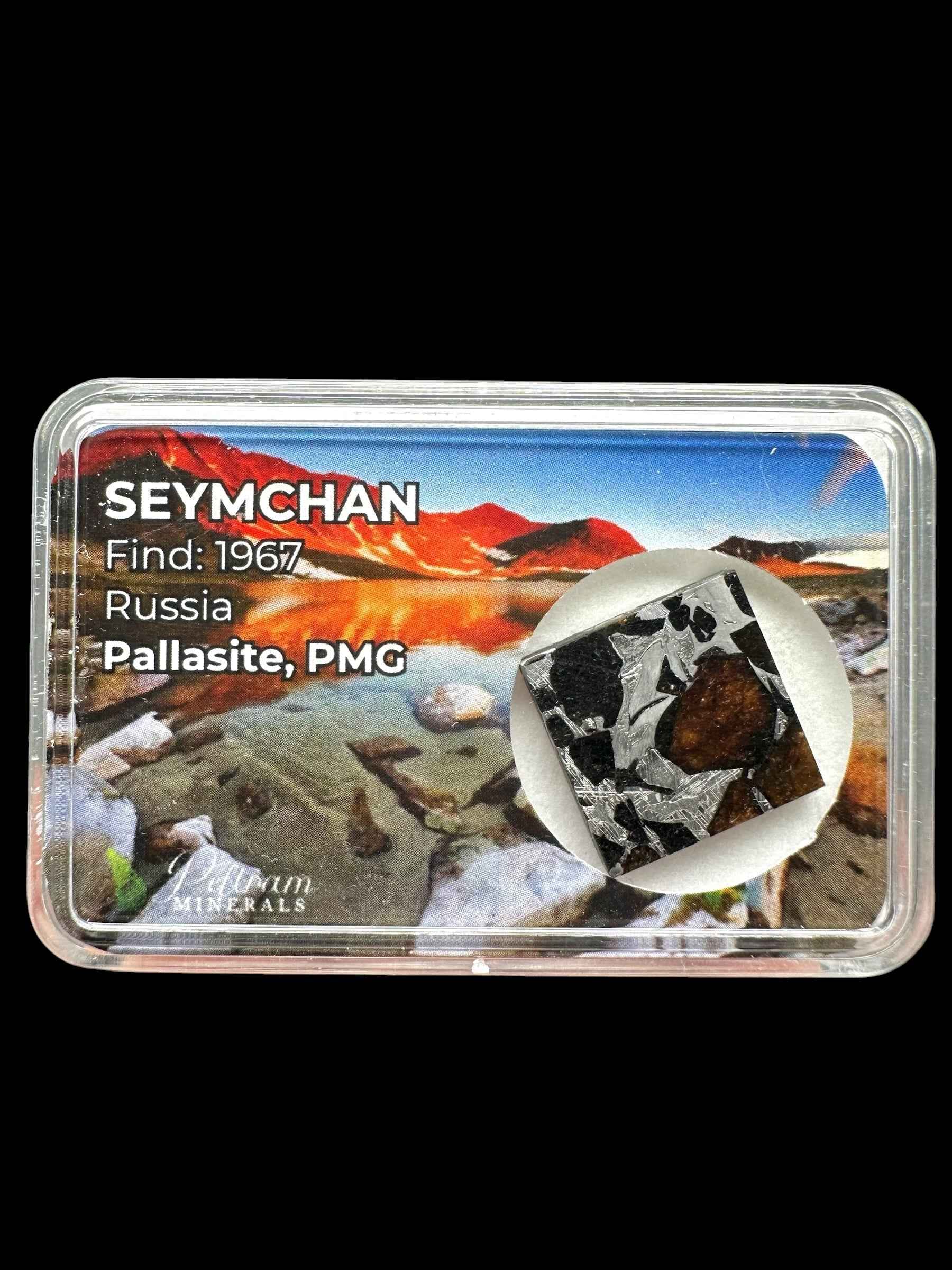 Fetta quadrata di meteorite Seymchan con metallo lucido e olivina bruna, in scatola trasparente con cartellino