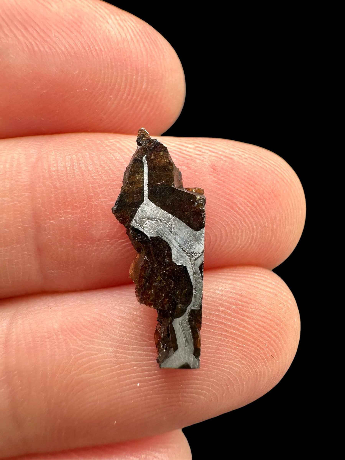 Meteorite di Seymchan 0,5g – Magadan, Russia - MESM144