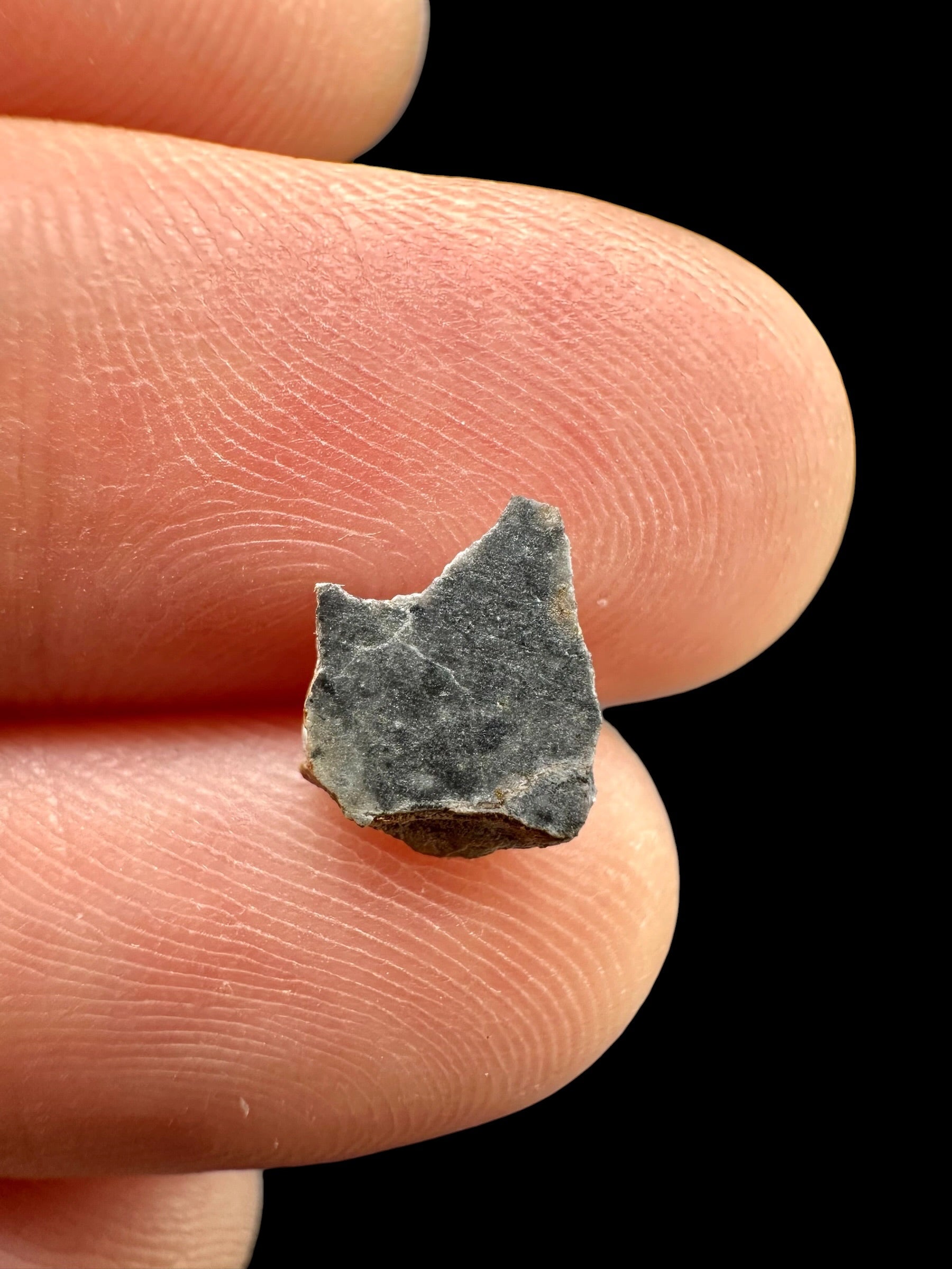 Lunar meteorite Bechar 003 – 0,1g – Algeria - MEBA196