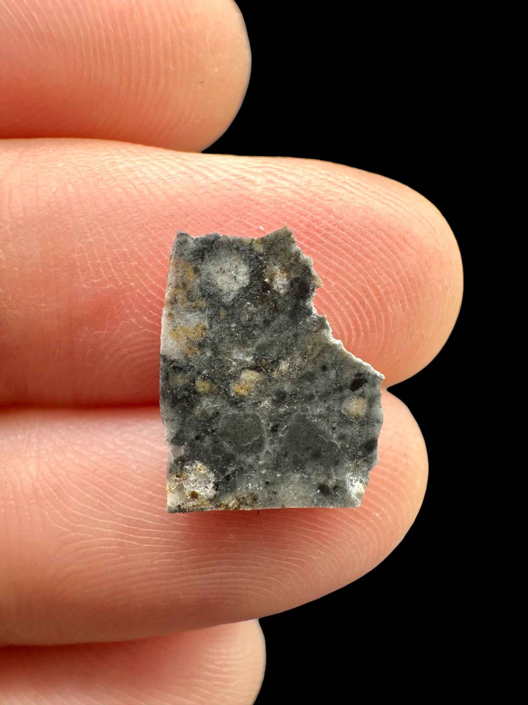 Meteorite lunare Bechar 003 – 0,3g – Algeria - MEBA197